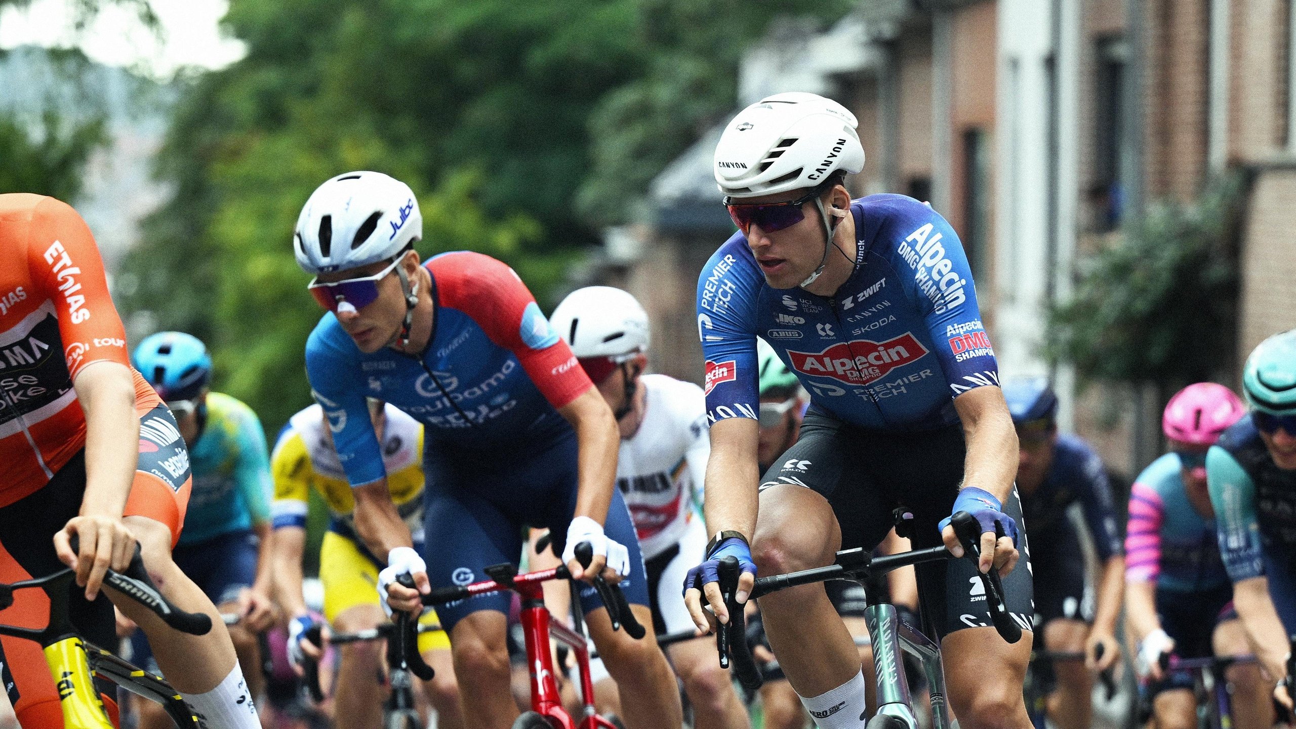 Championship of Flanders