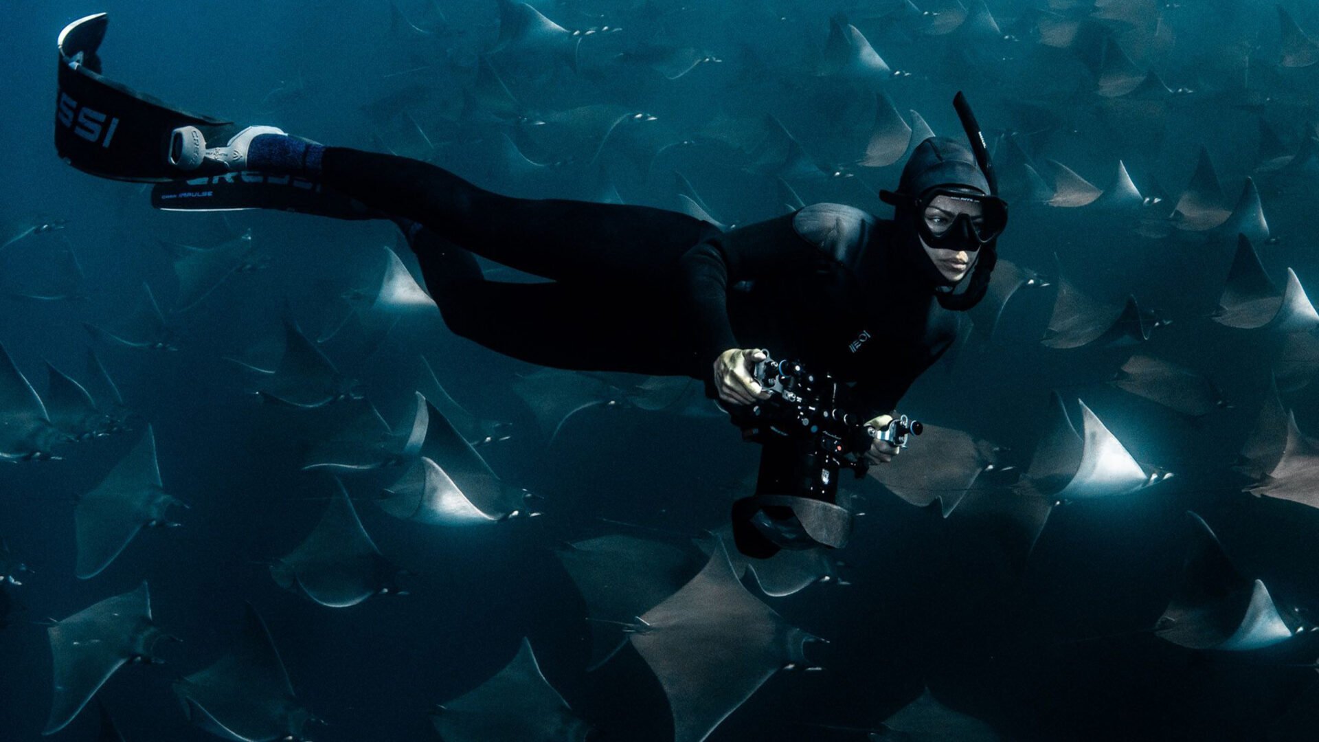 Djupdykning i Nordamerika