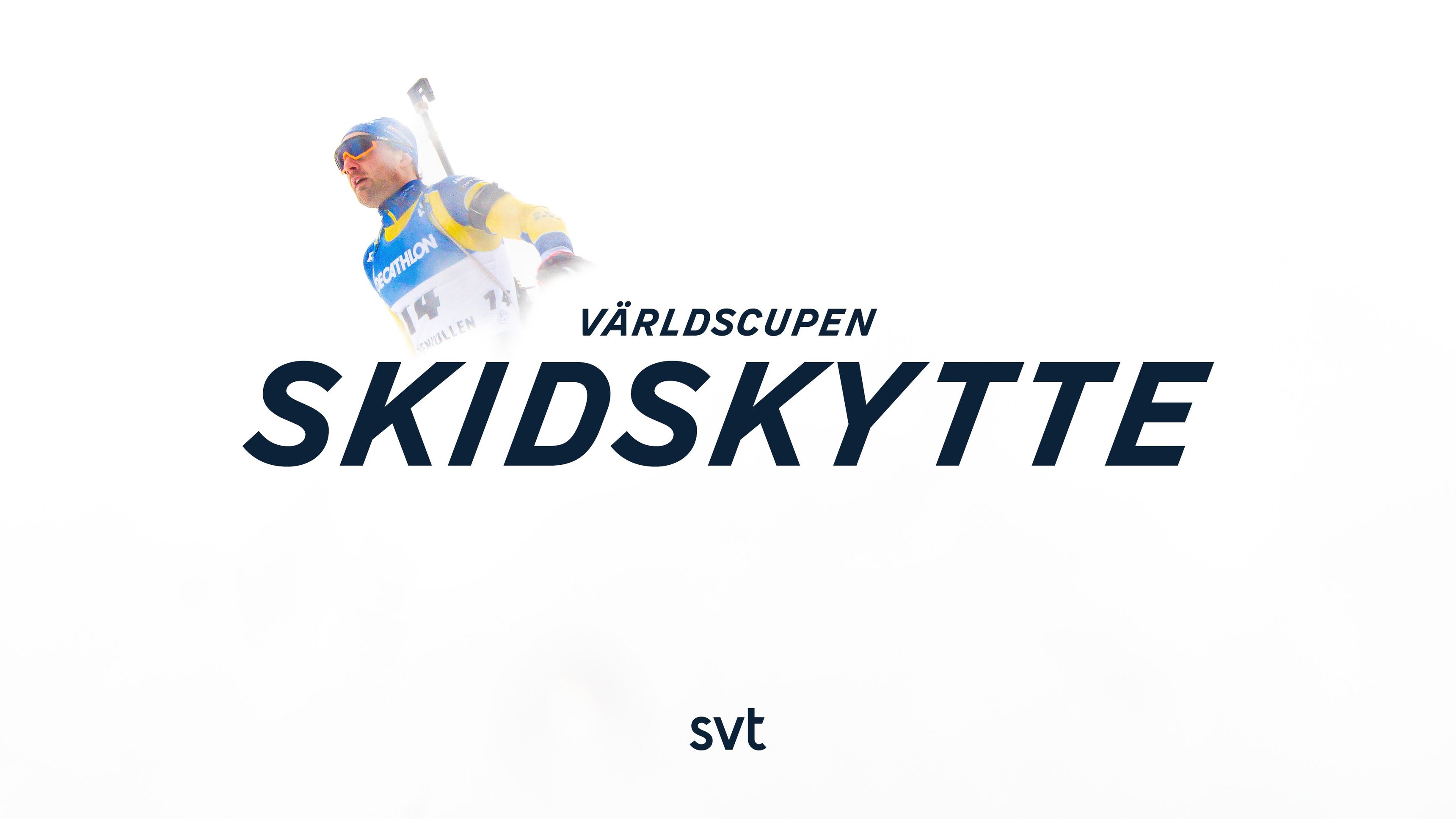 Skidskytte: Världscupen