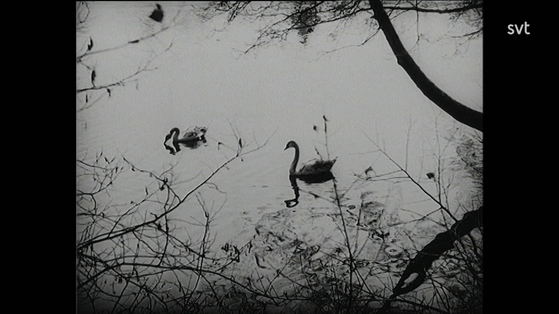 27. Gävlebilder 1931–1933