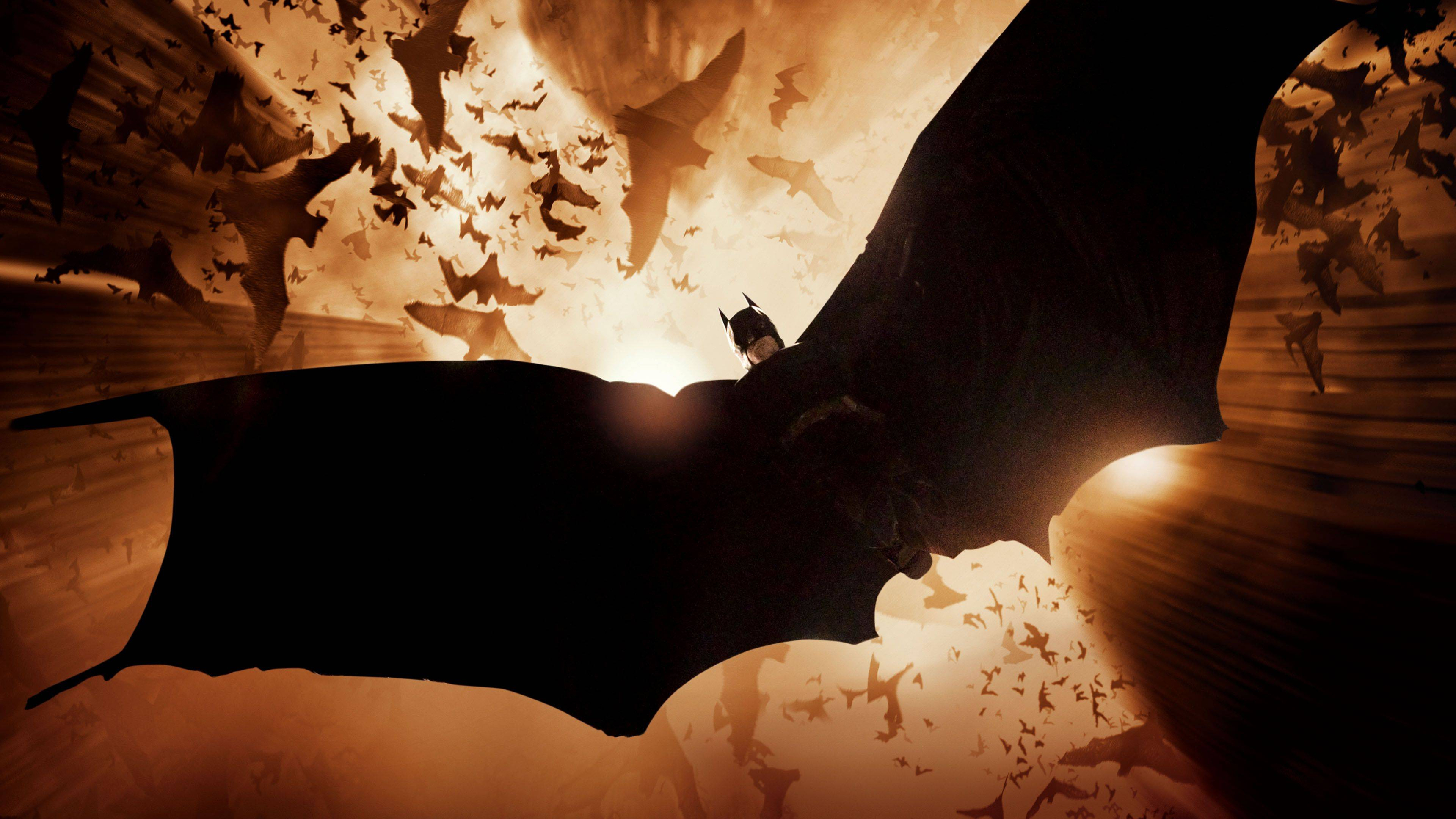 Batman begins