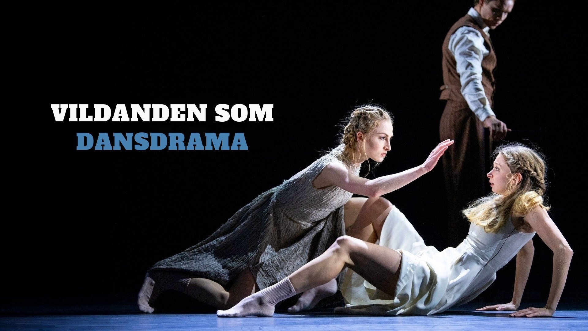 Vildanden som dansdrama