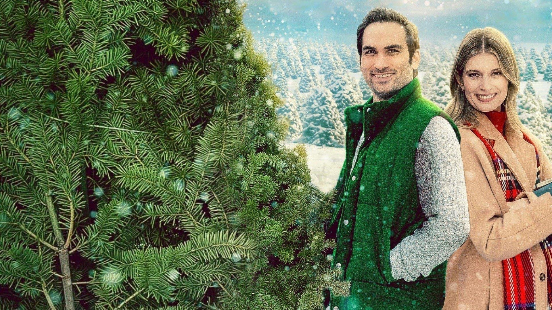 My Favourite Christmas Tree