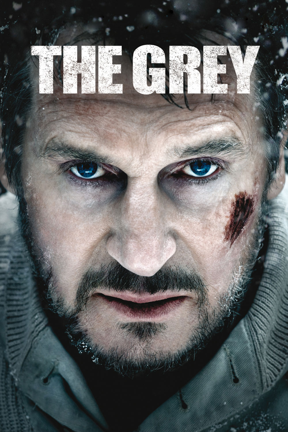 The Grey