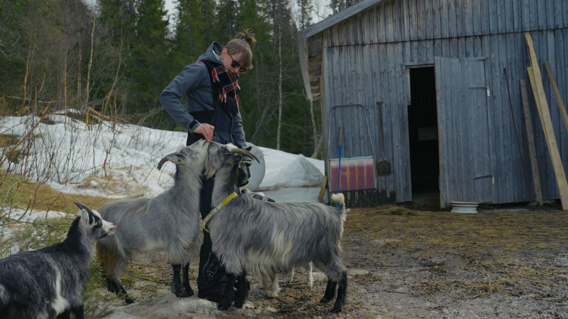 1. Kallsåddens tid