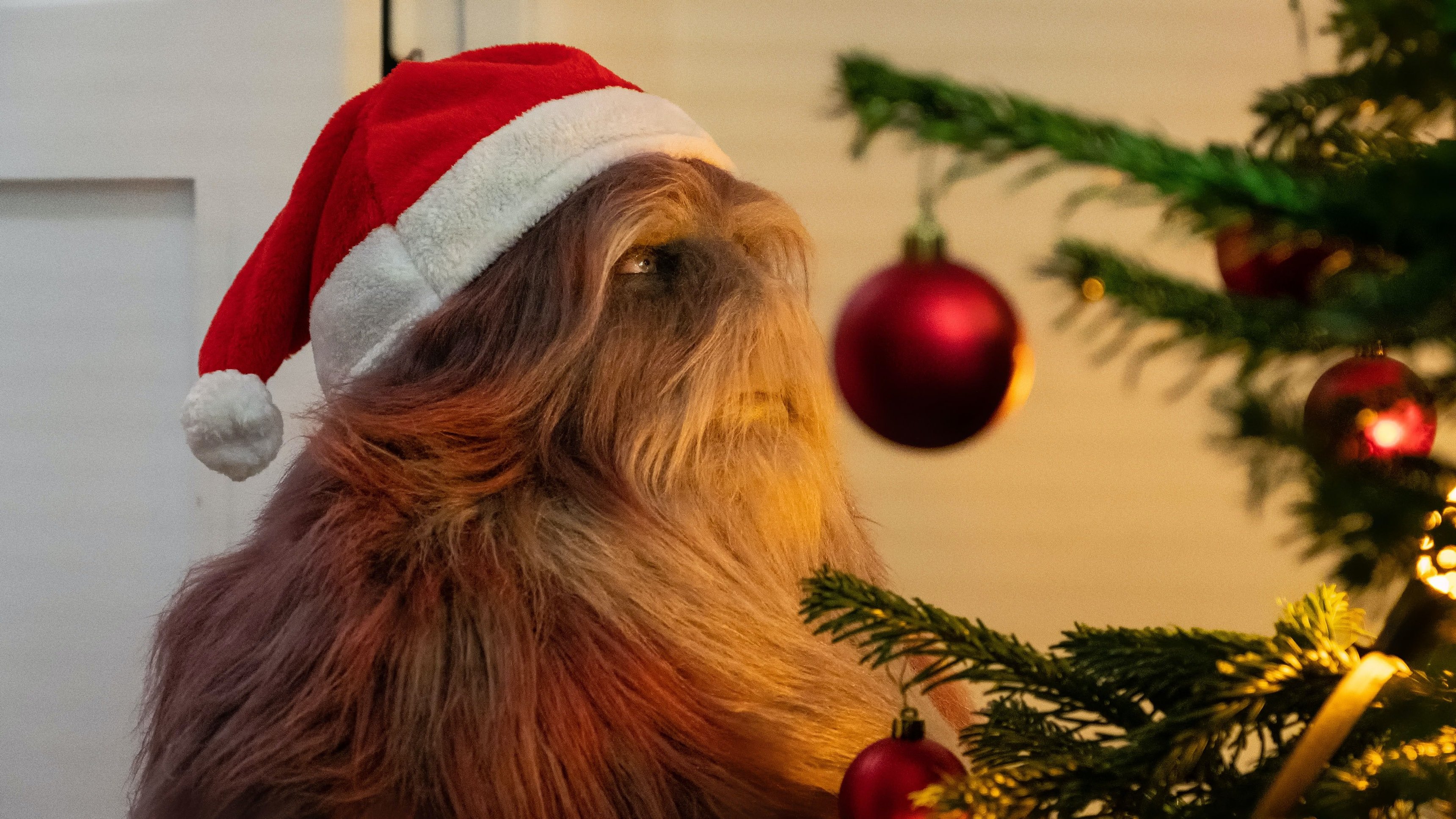 9. Kometernas jul S01 E009