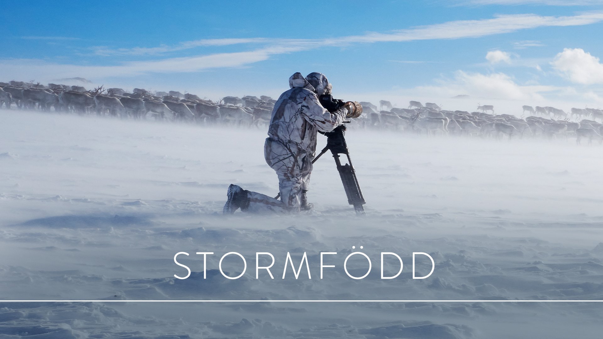 Världens natur: Stormfödd