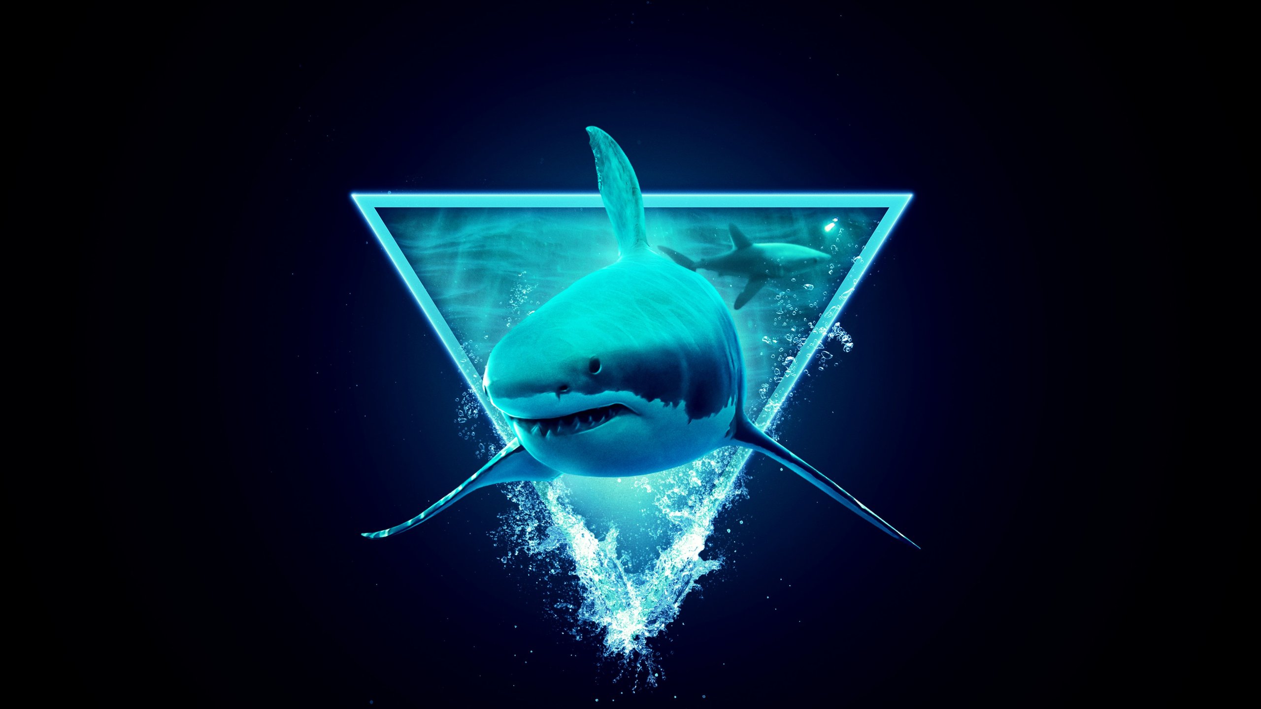 Monsters Of The Bermuda Triangle