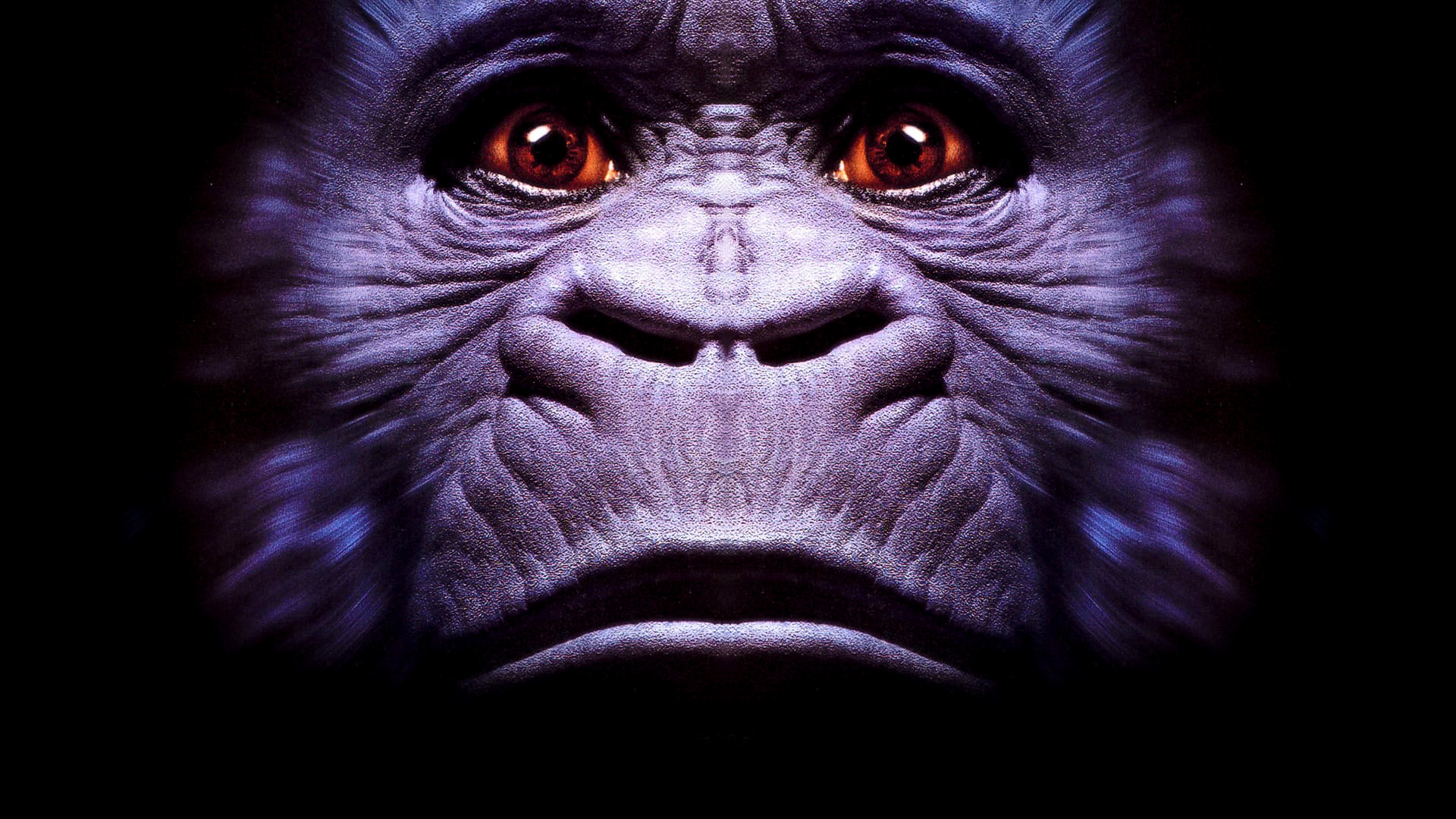 Congo