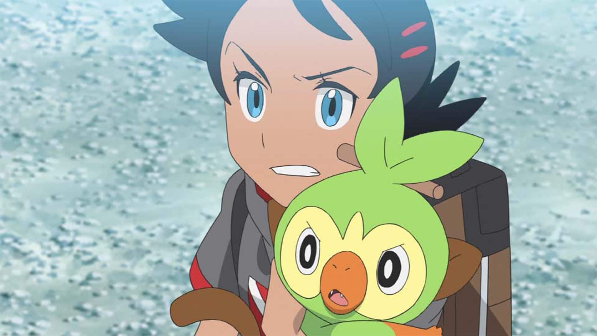 11. Grookeys Resa Hem
