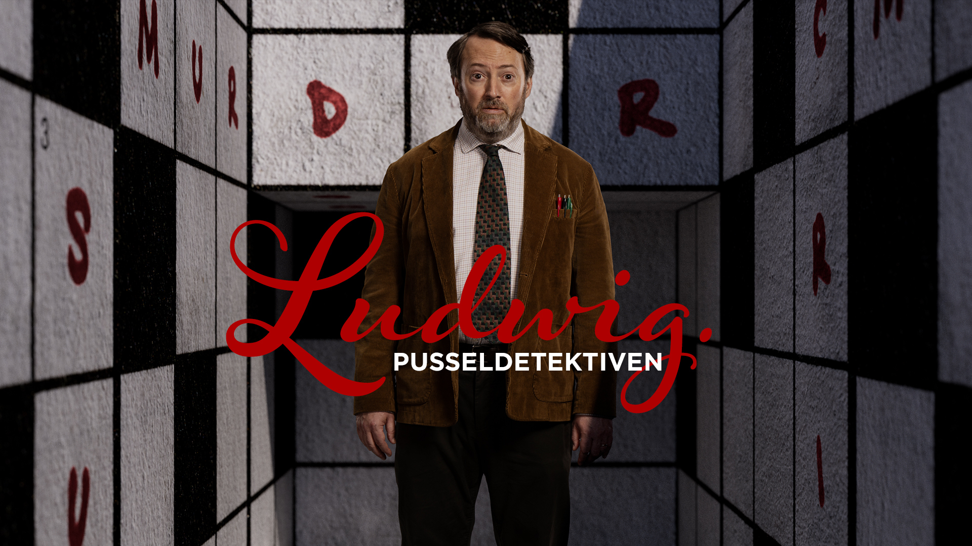 Ludwig – pusseldetektiven