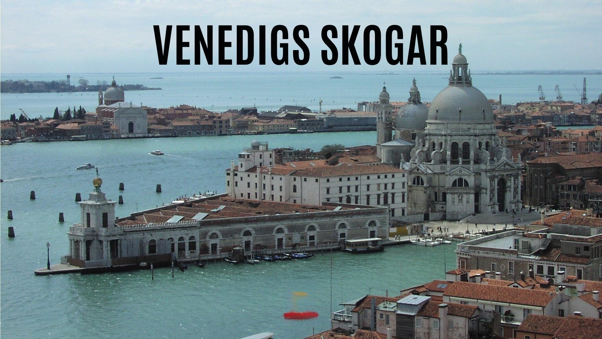 Venedigs skogar