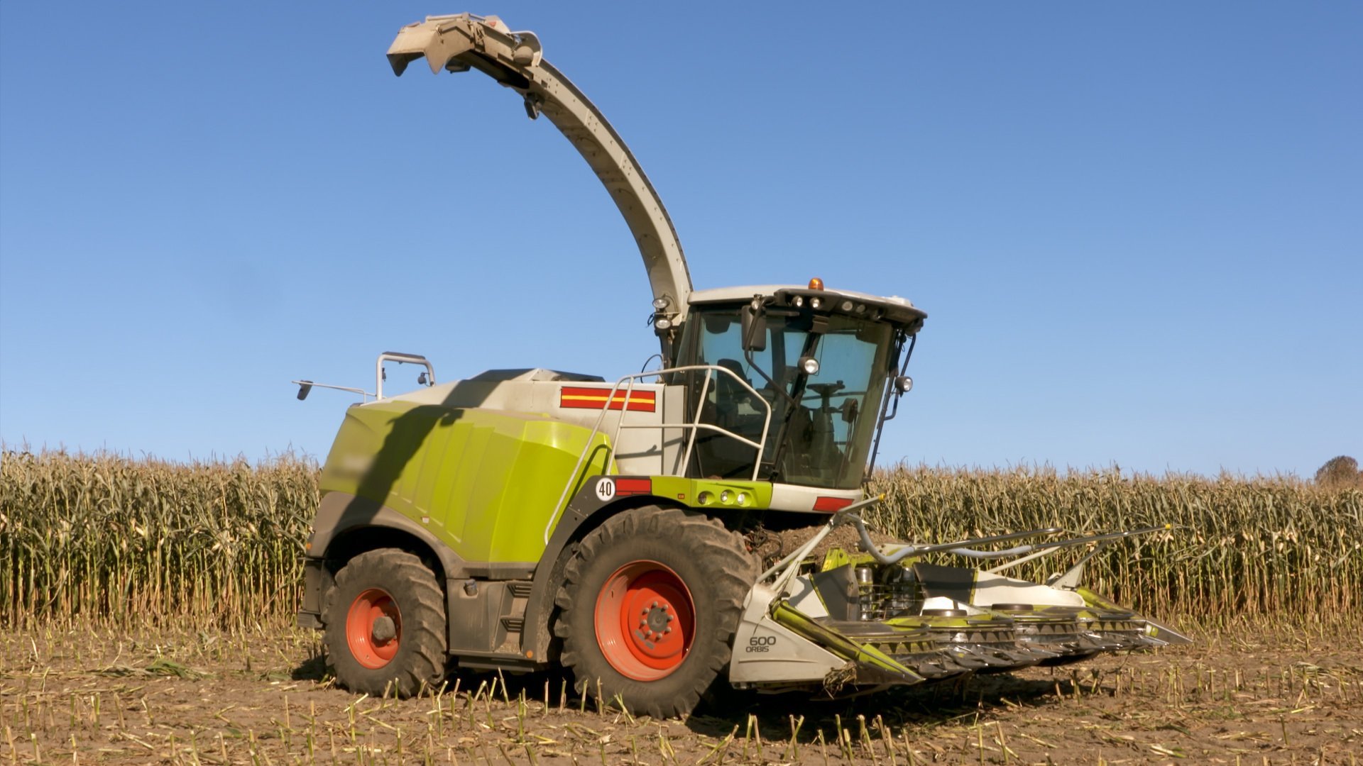 7. Fodermajs blir ensilage