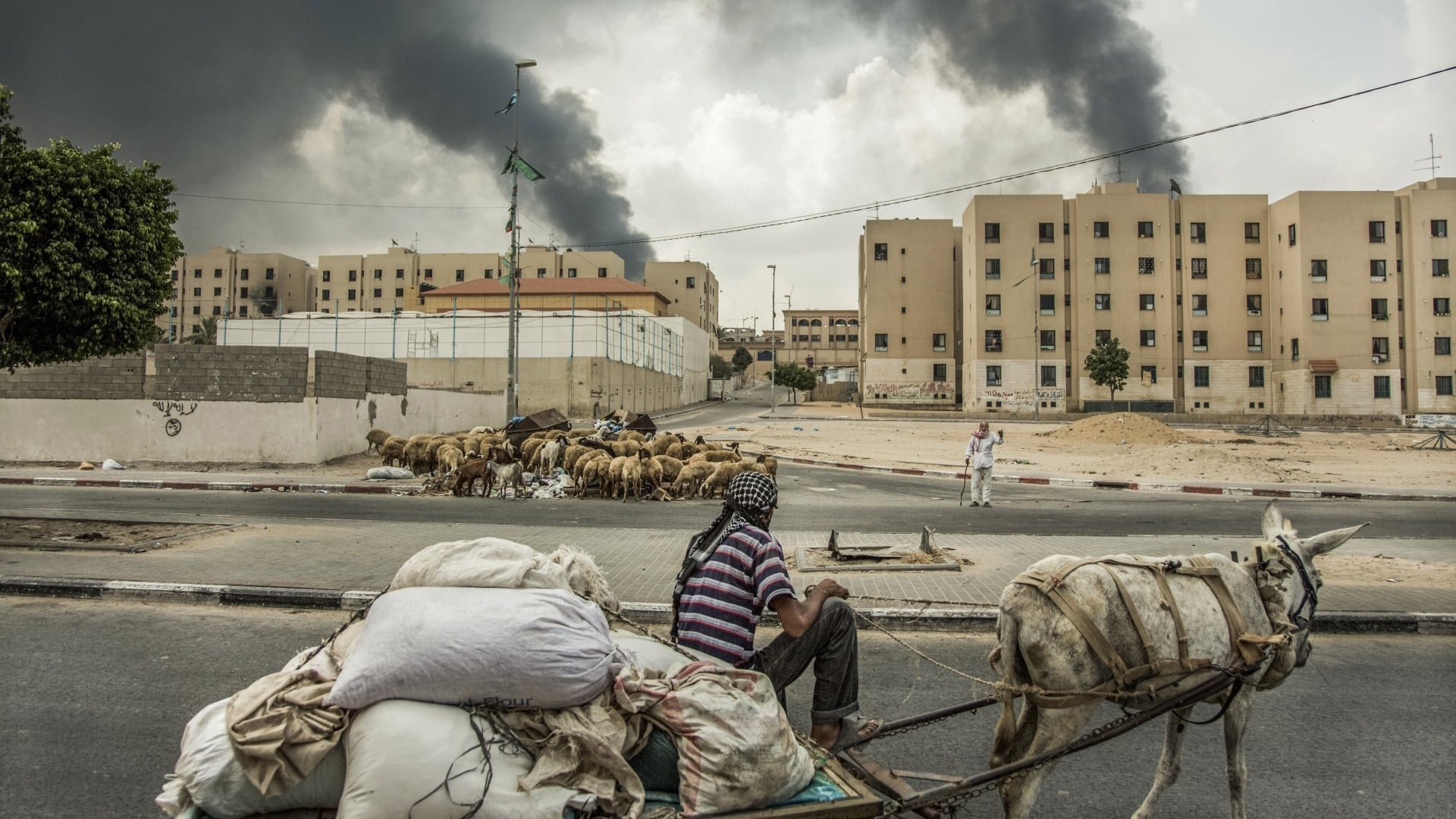 Gaza - vi vill bara leva!