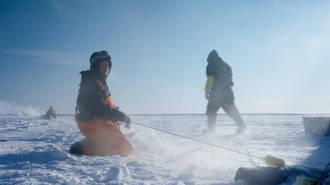 3. Ny leksak