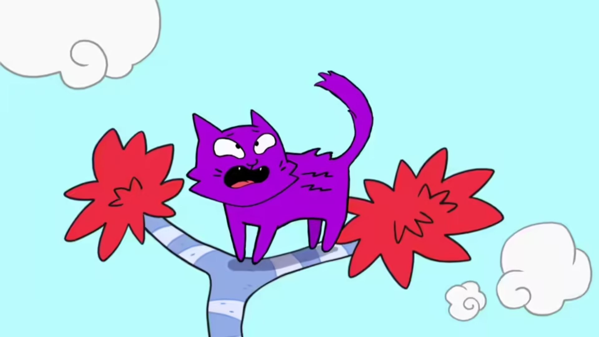 10. Låt katten vara i fred