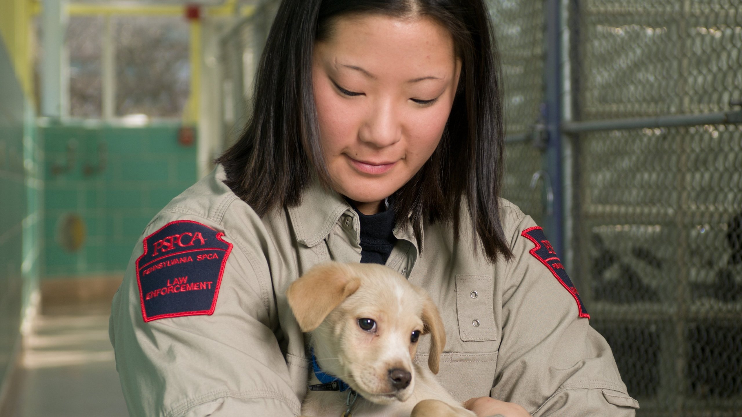 Animal Cops Philadelphia