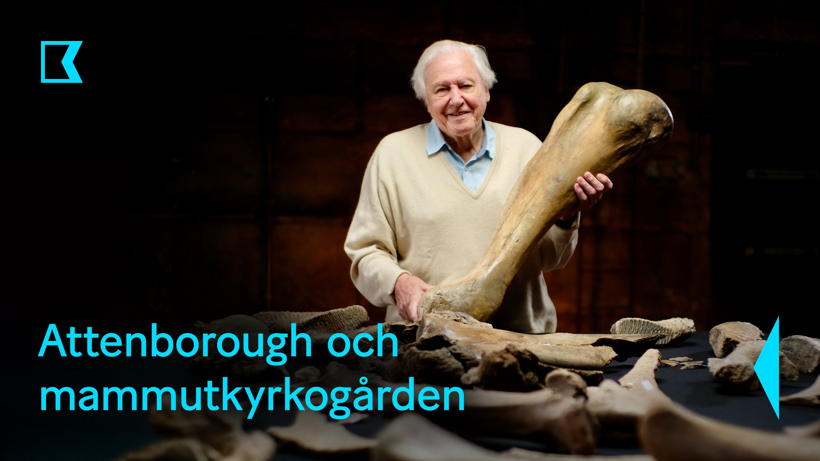 Attenborough och mammutkyrkogården