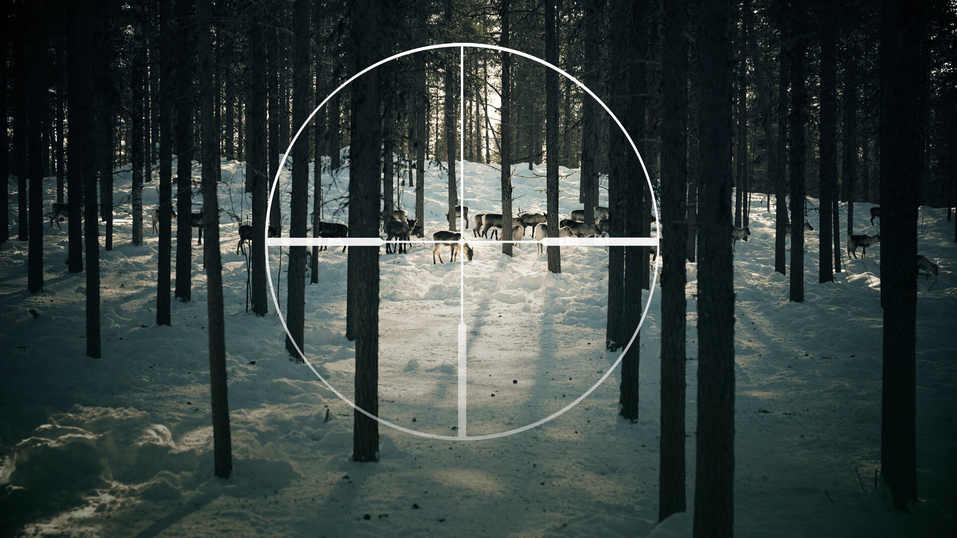 Kalla fakta: Samehatarna