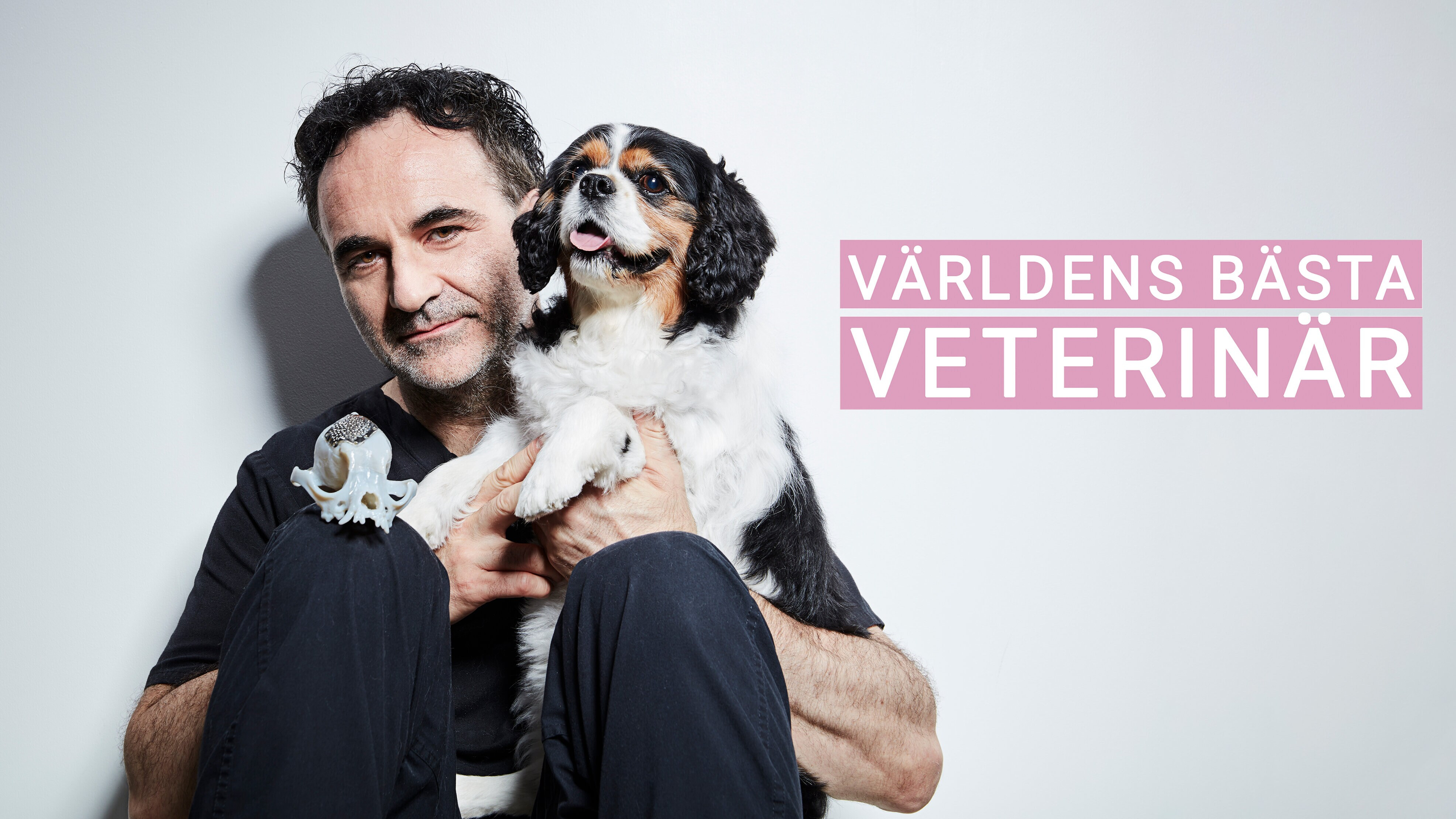 Världens bästa veterinär