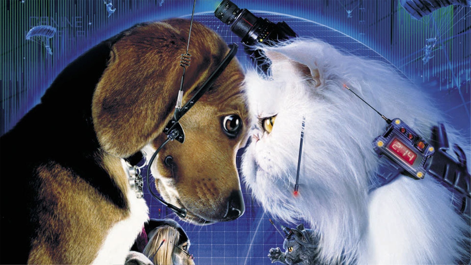 Som hund och katt