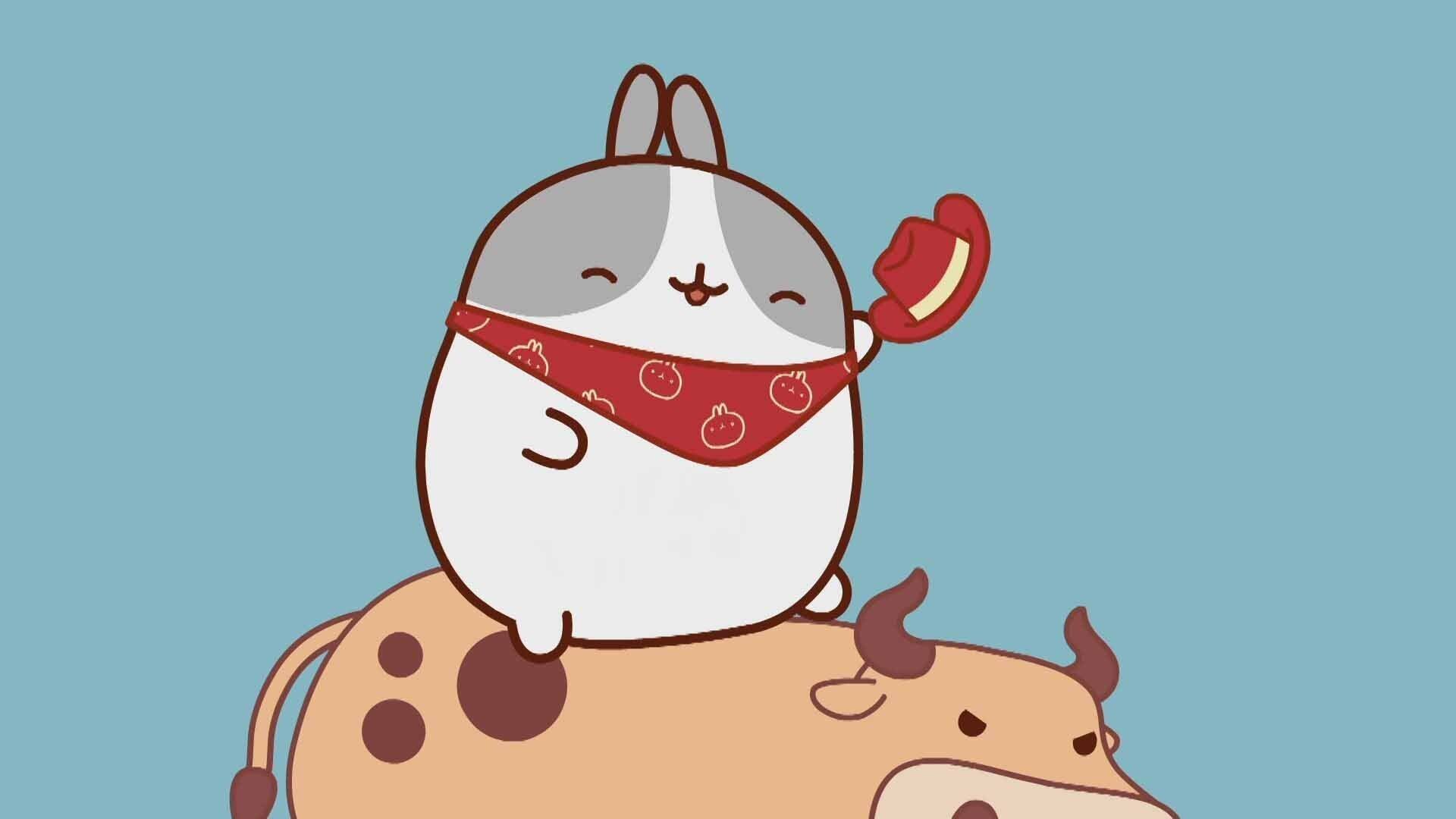 13. Rodeo