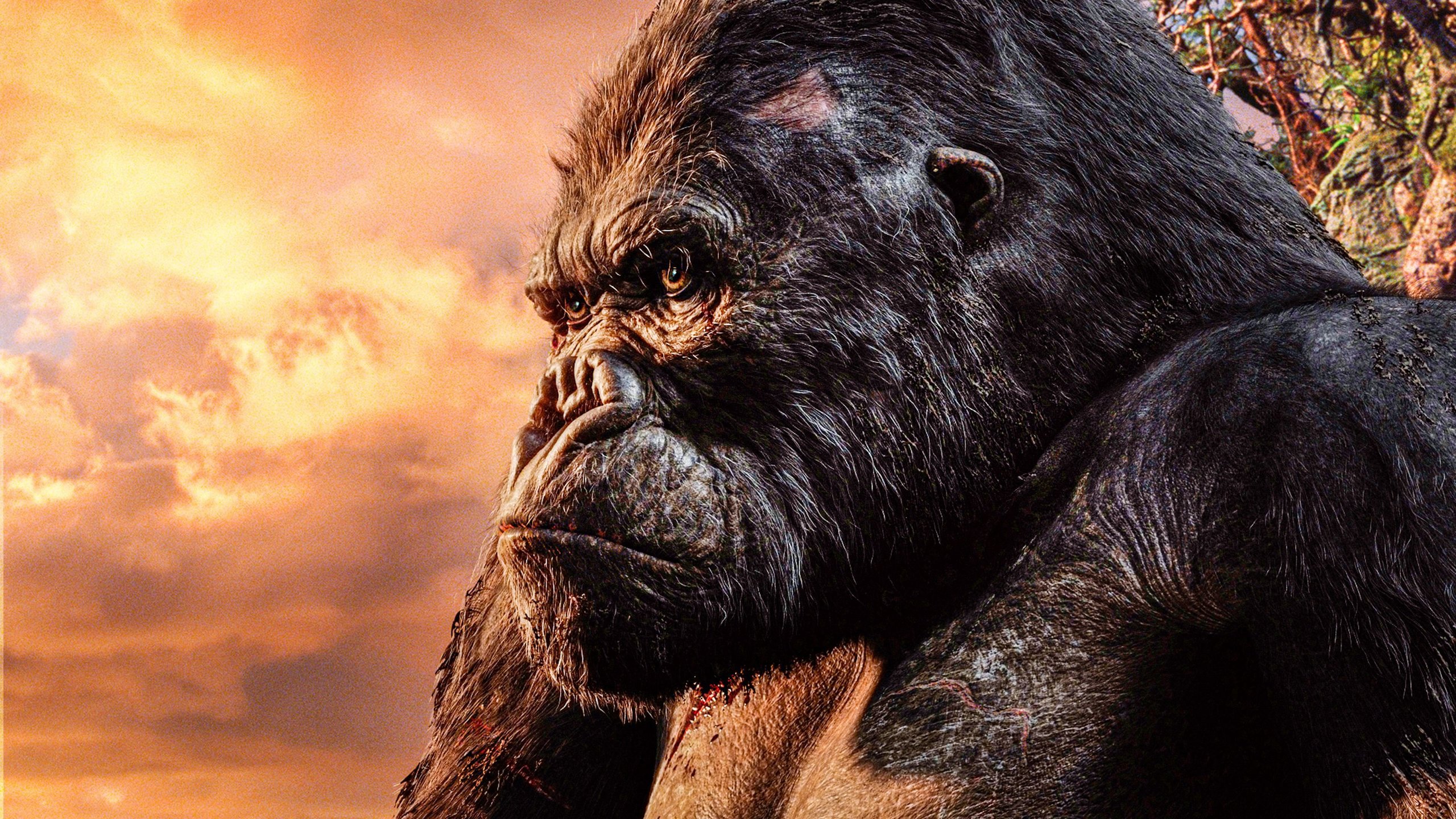 King Kong