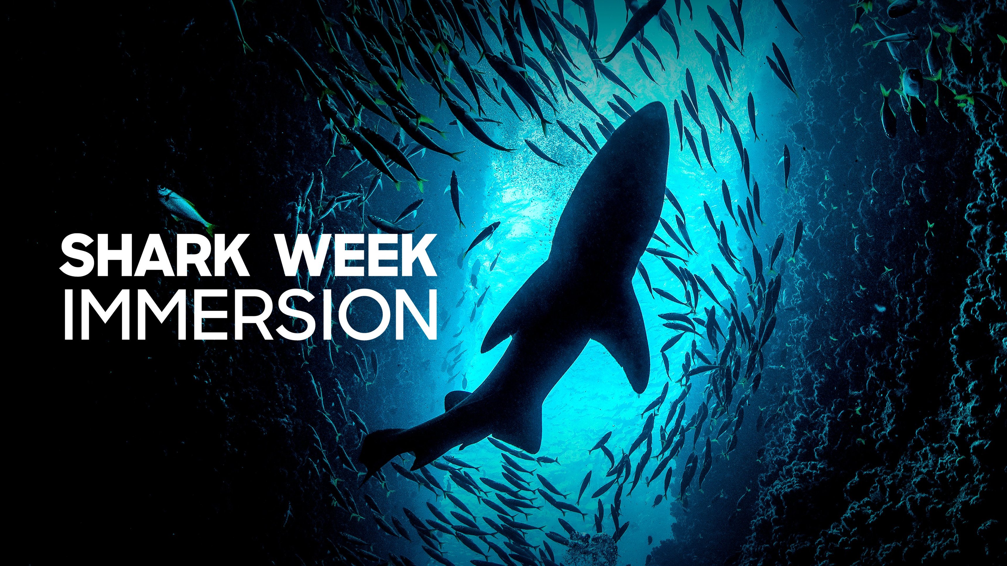 Shark Week Immersion