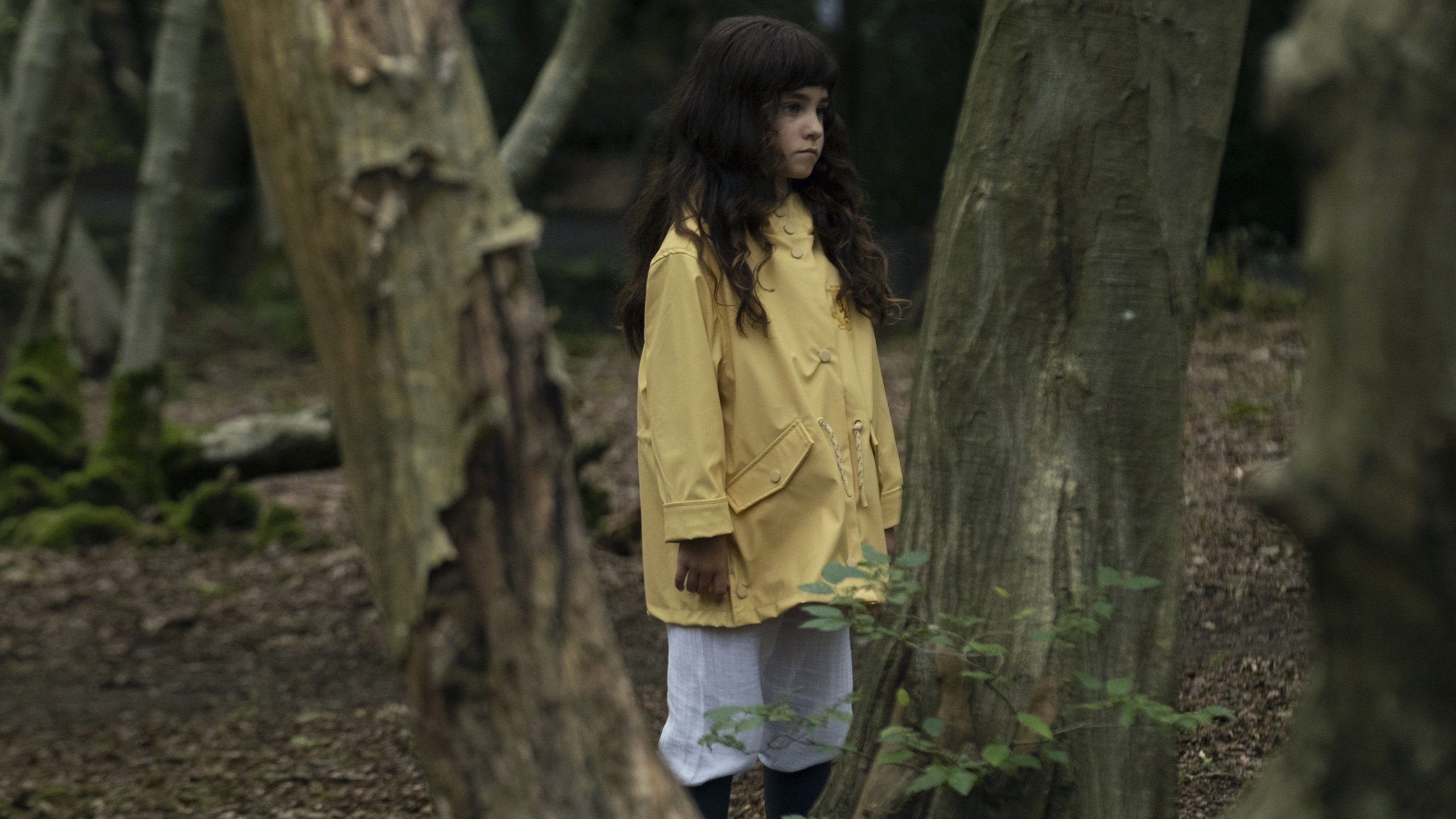4. Hide and Seek