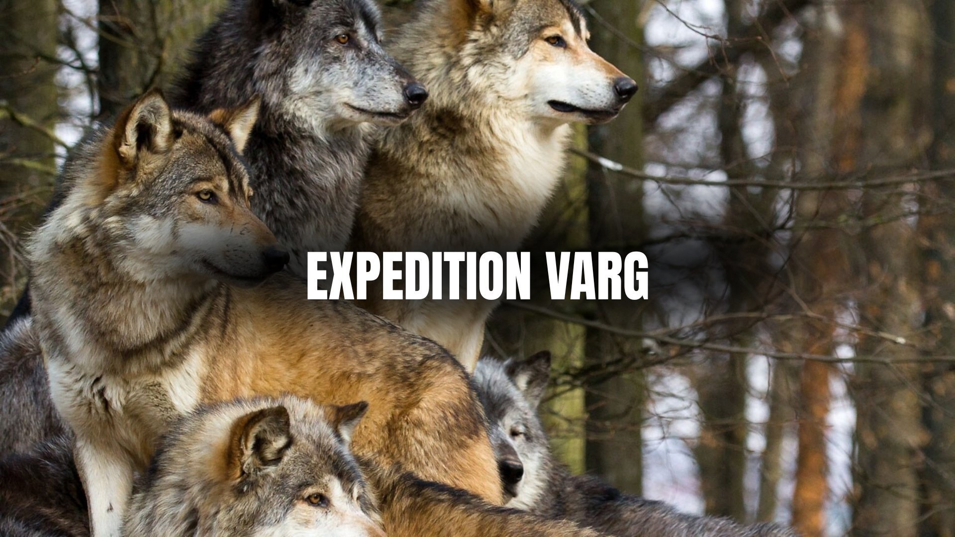Expedition varg
