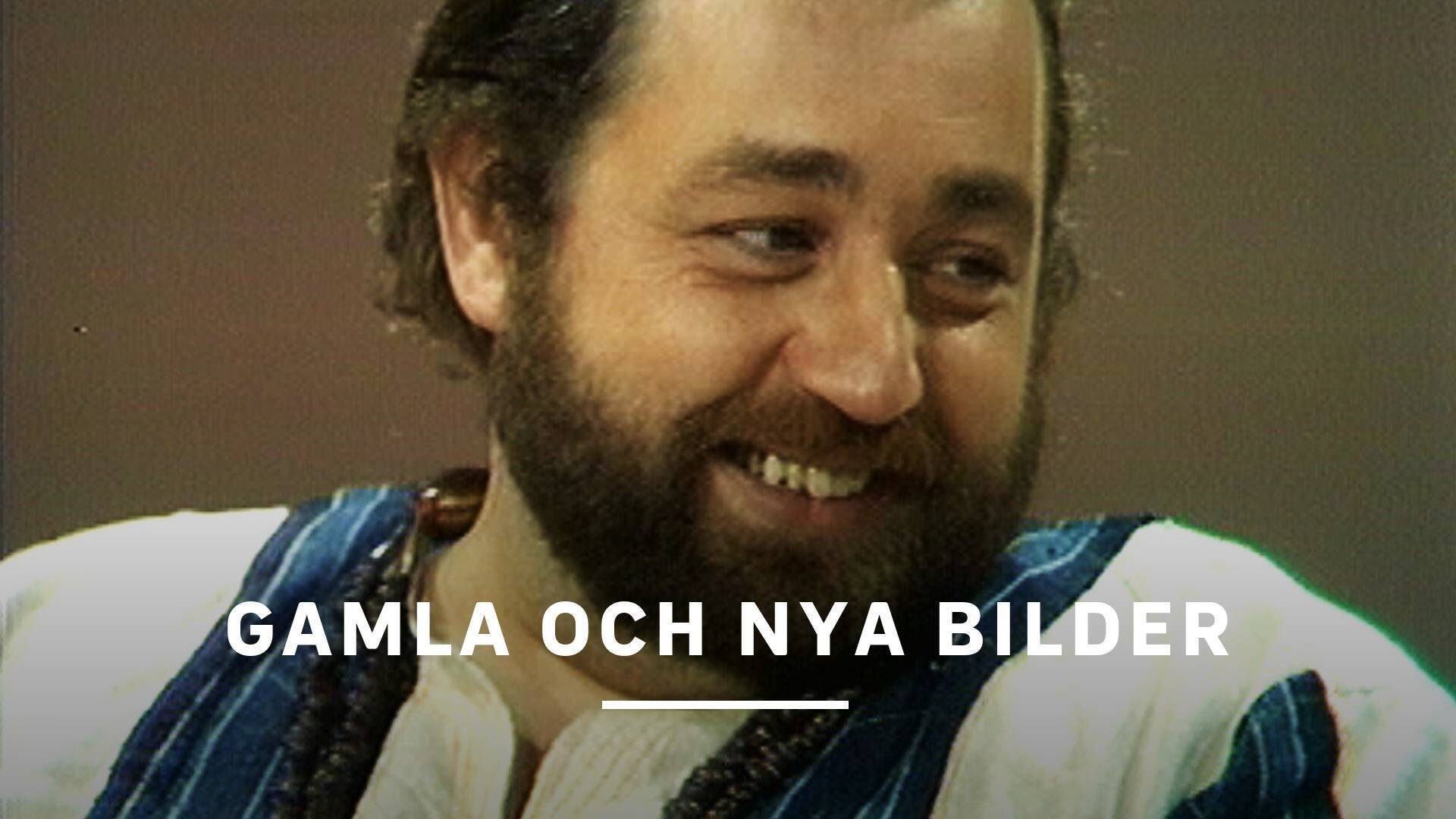 1. Avsnitt 1