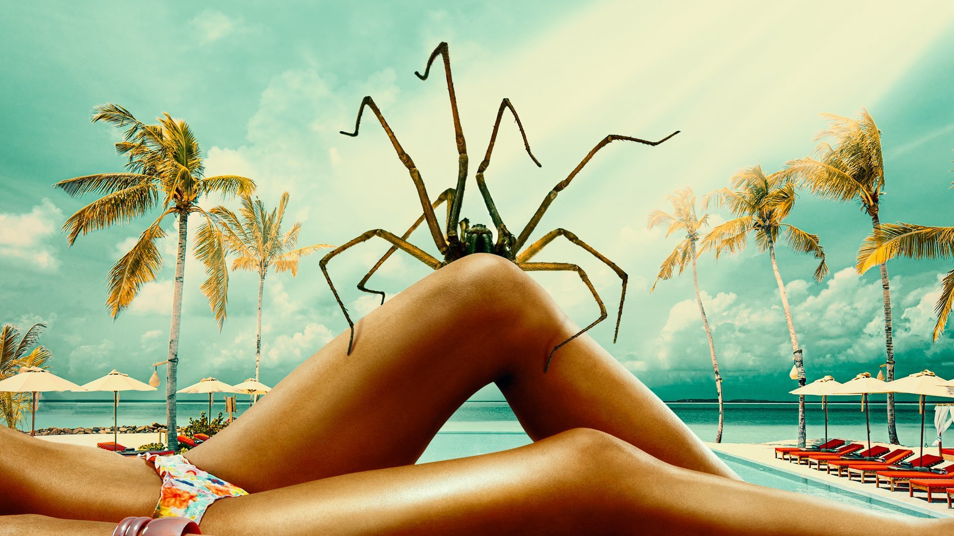 Spider Island