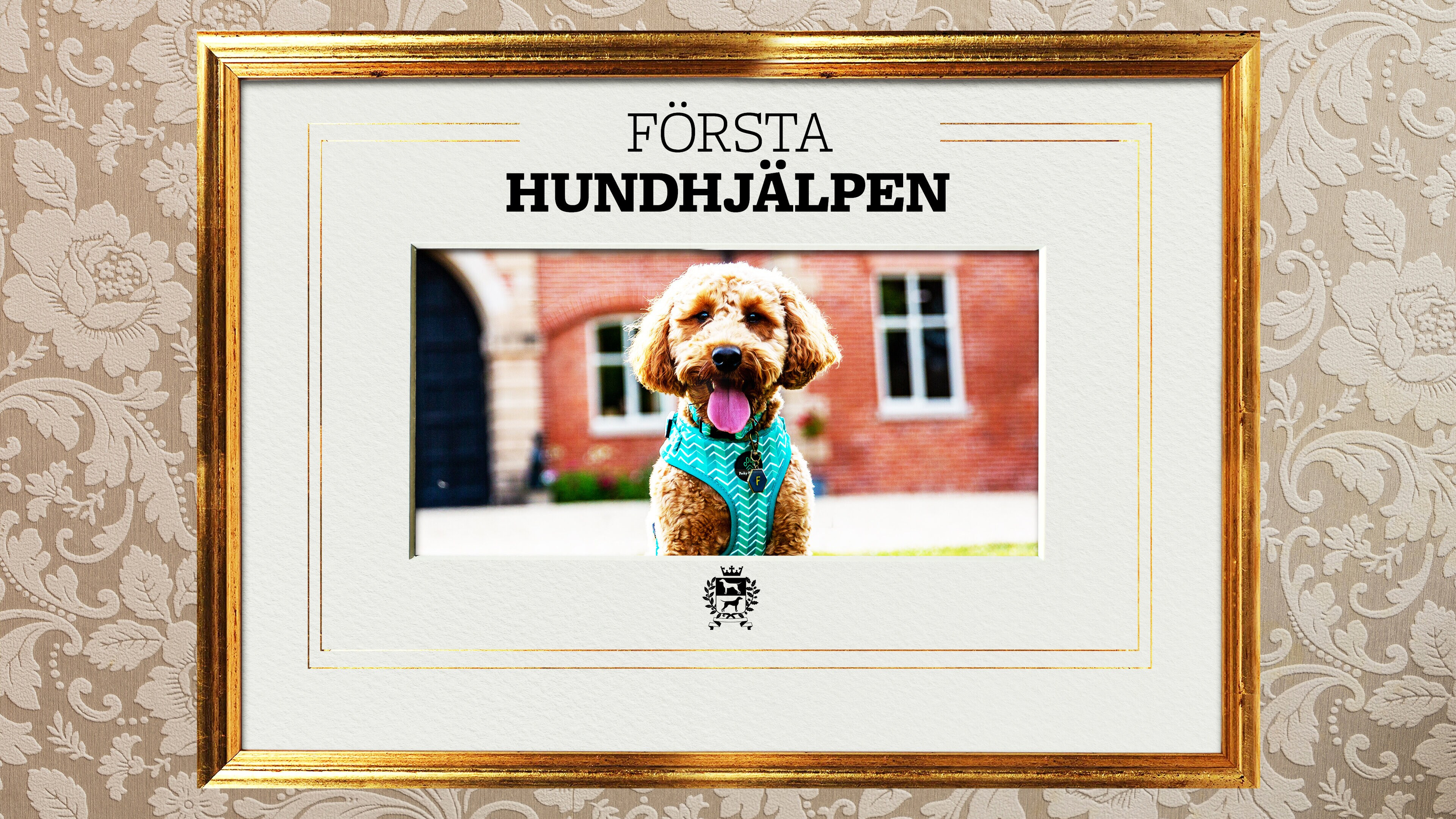 Första hundhjälpen