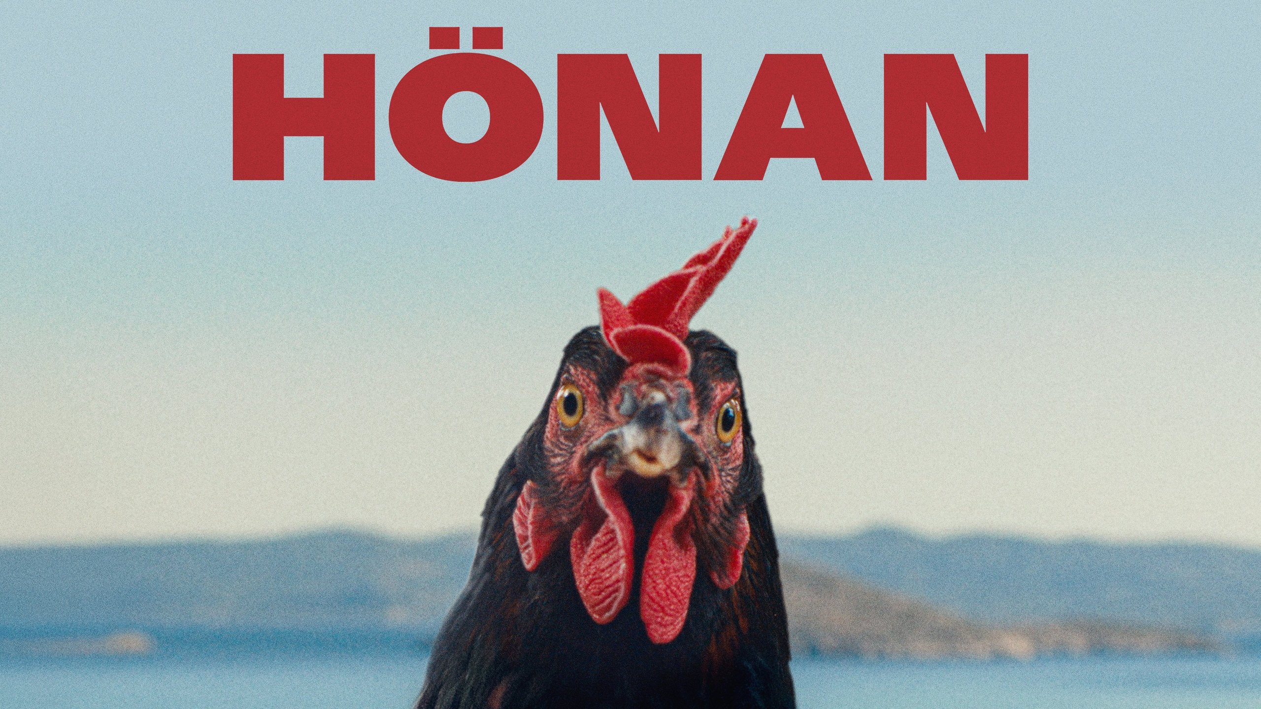 Hönan