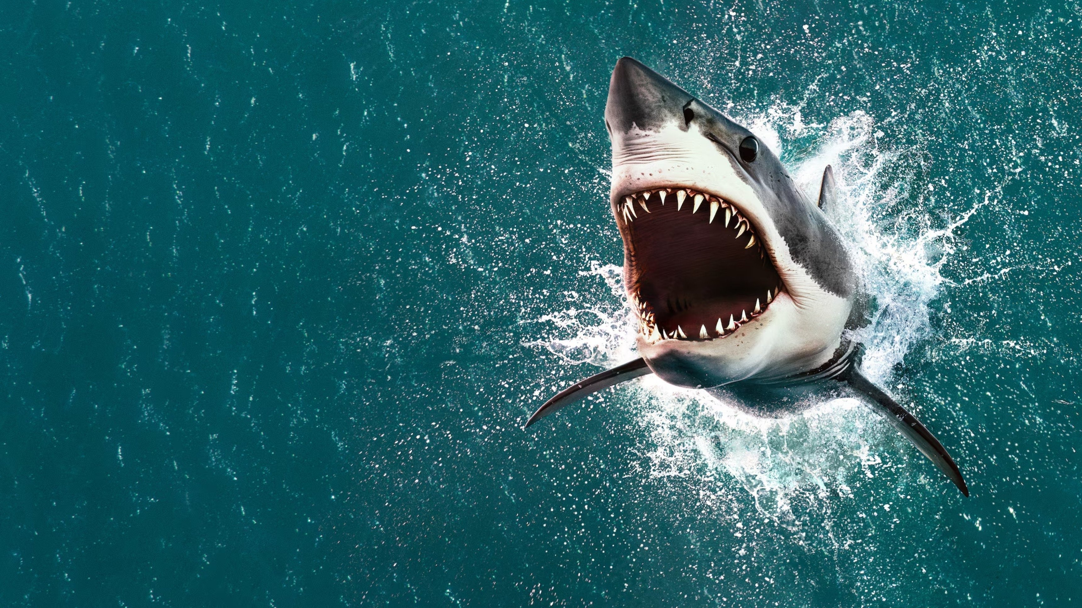 Air Jaws: The Hunt For Colossus