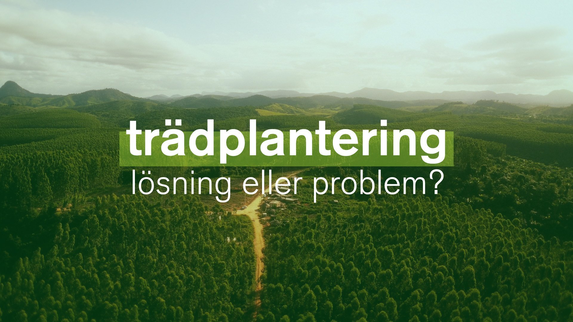 Dokument utifrån: Trädplantering - lösning eller problem?