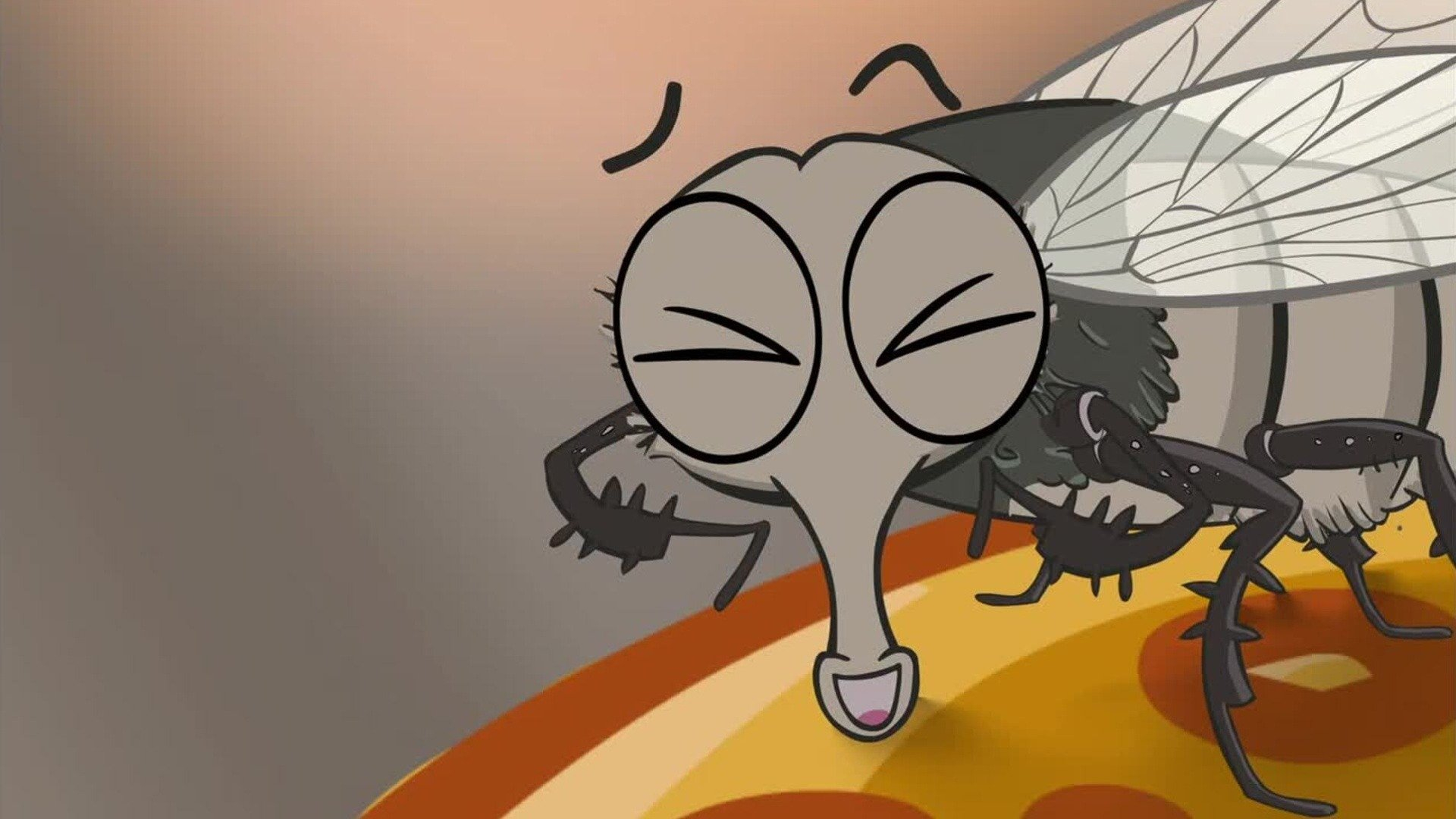 14. Fluga