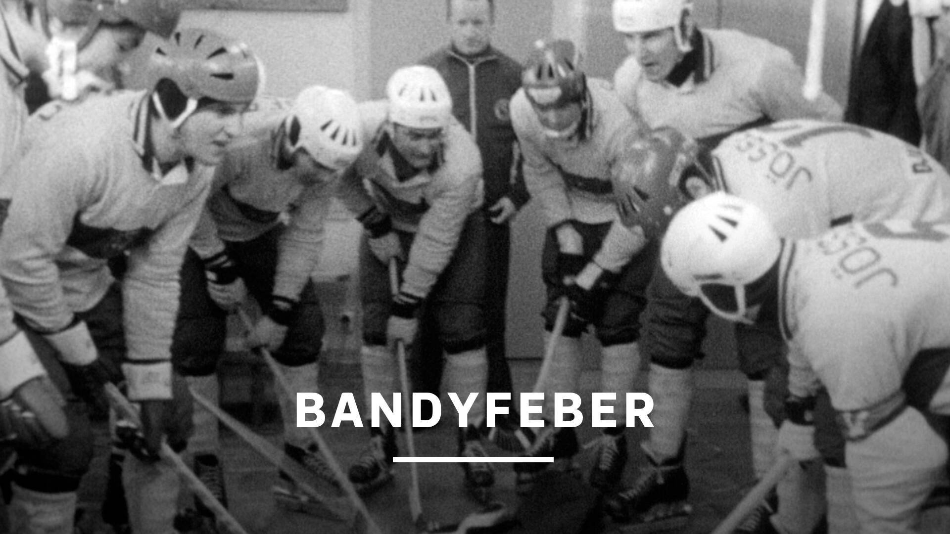 Bandyfeber 1971