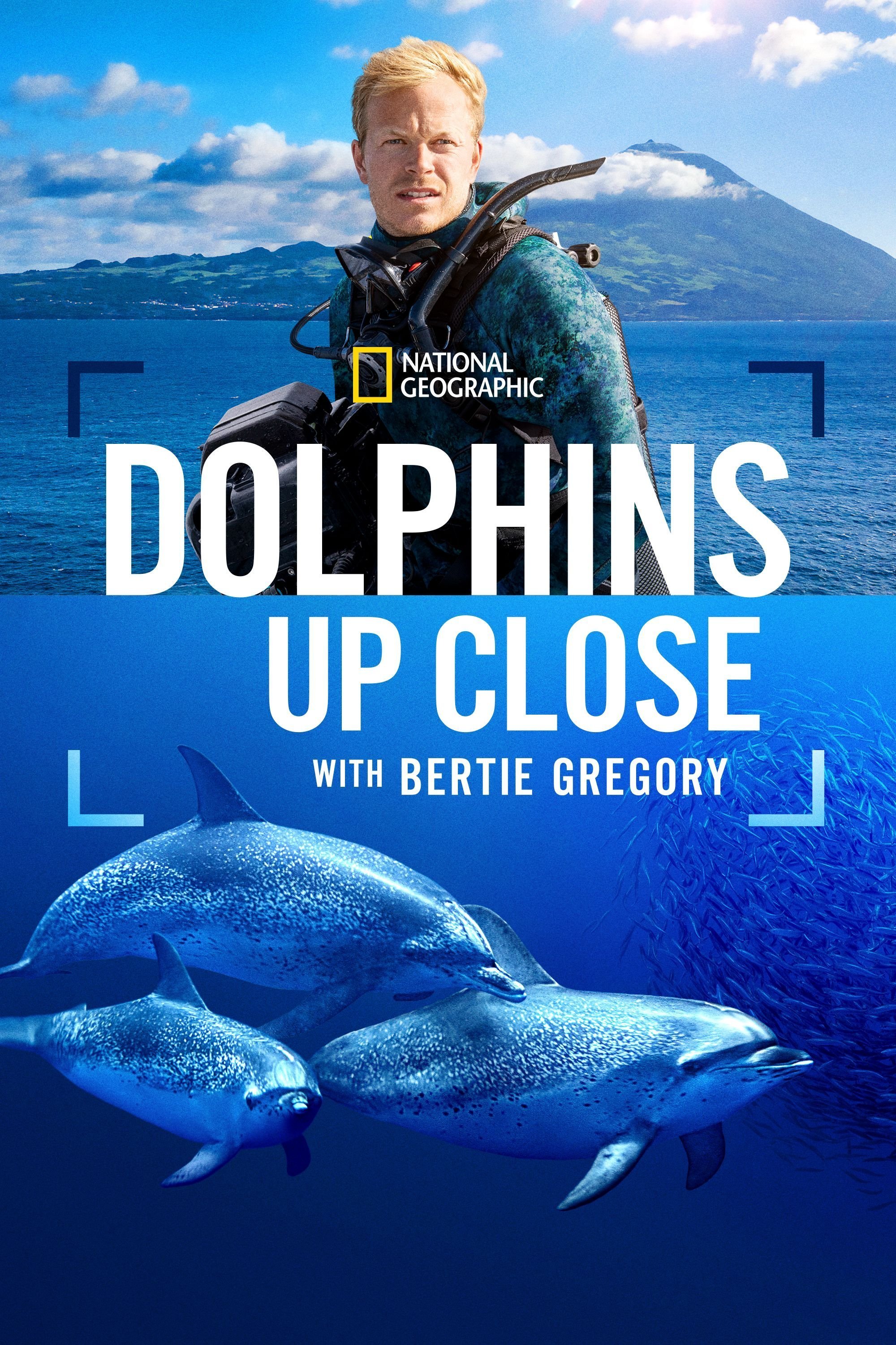 Dolphins Up Close with Bertie Gregory