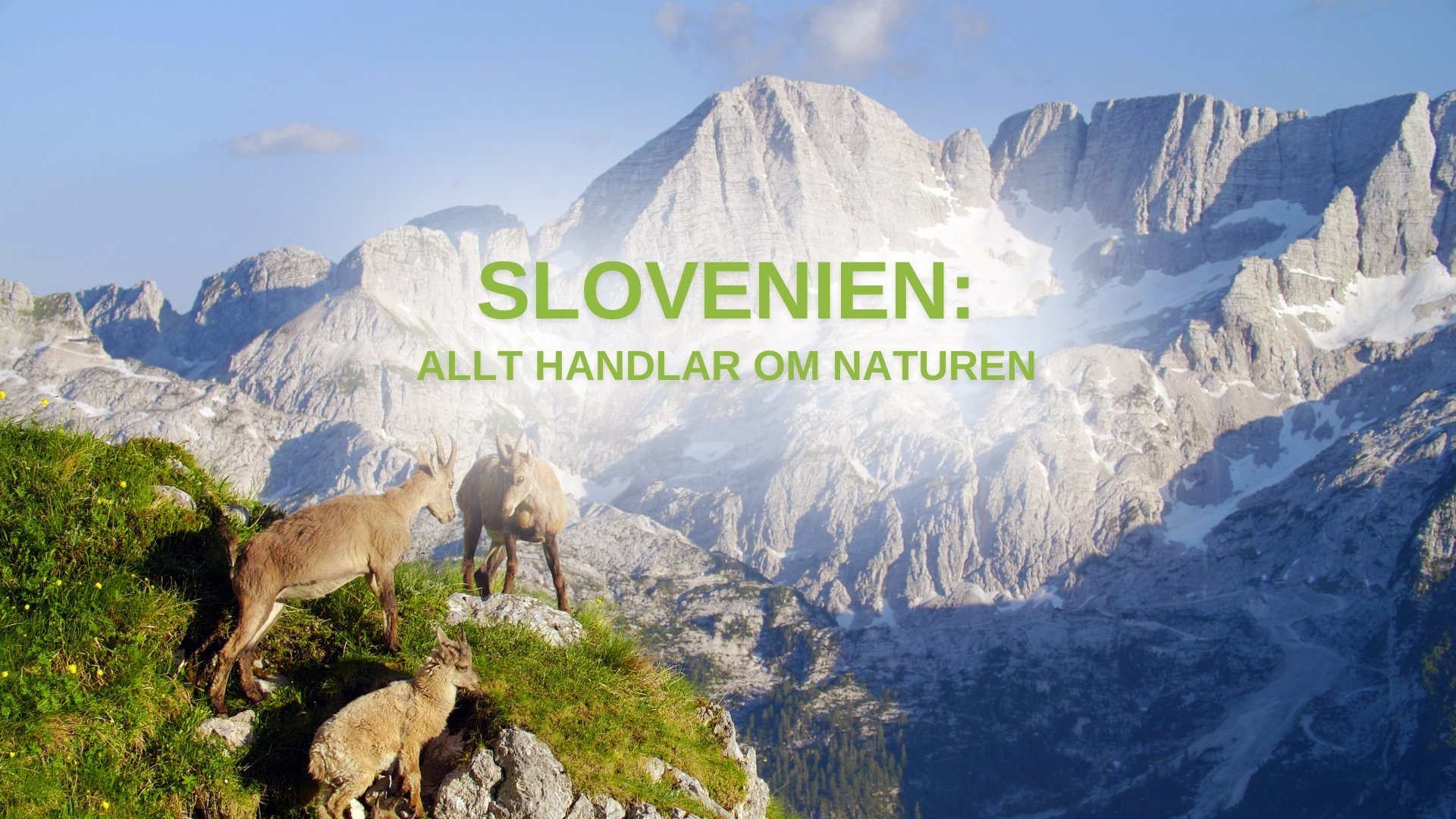 Slovenien: Allt handlar om naturen