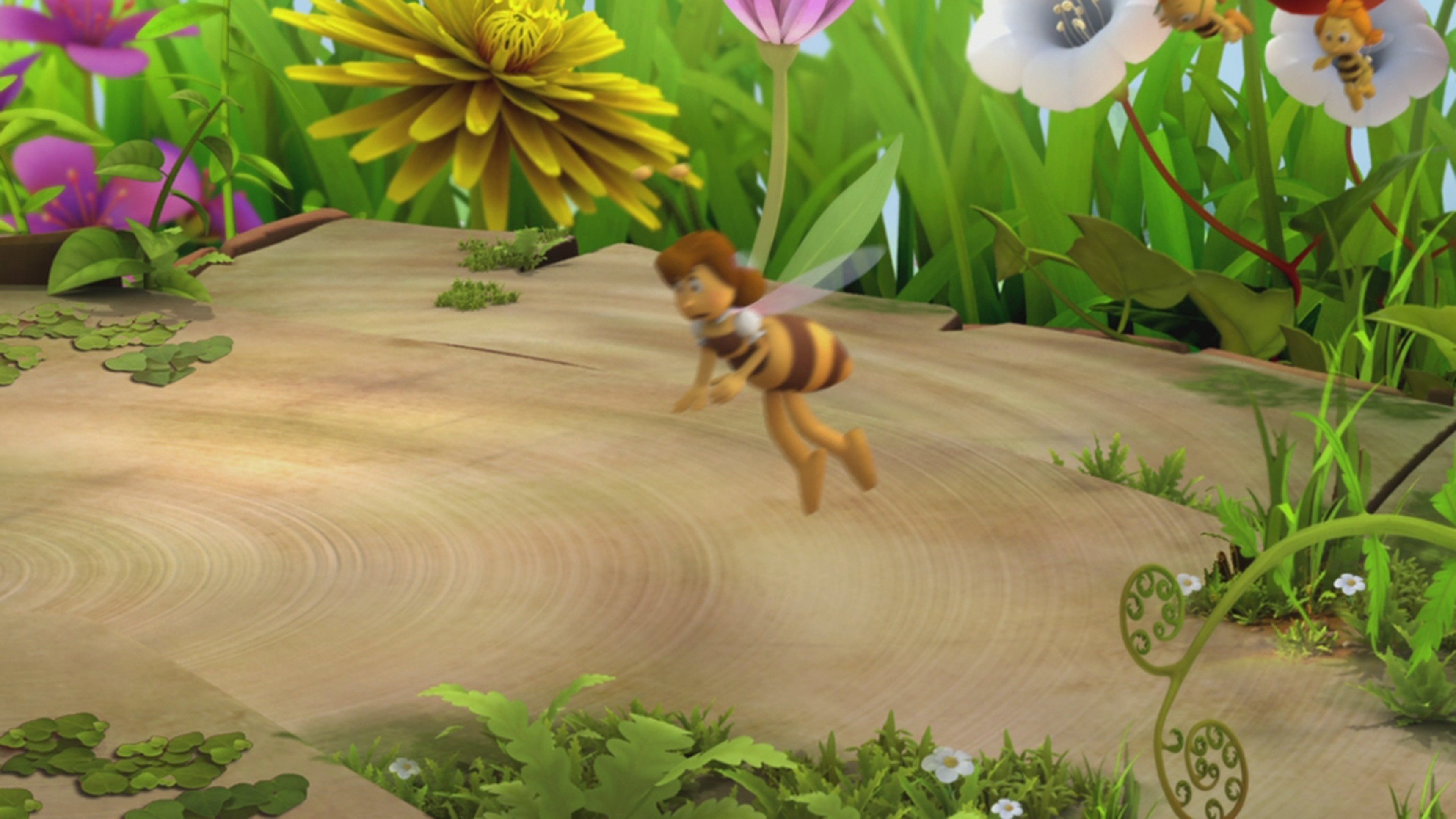 12. Maya The Bee S01 E012