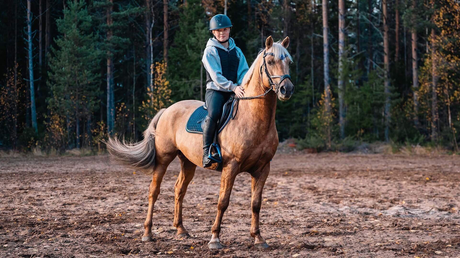 10. Morganhästen Gold coin