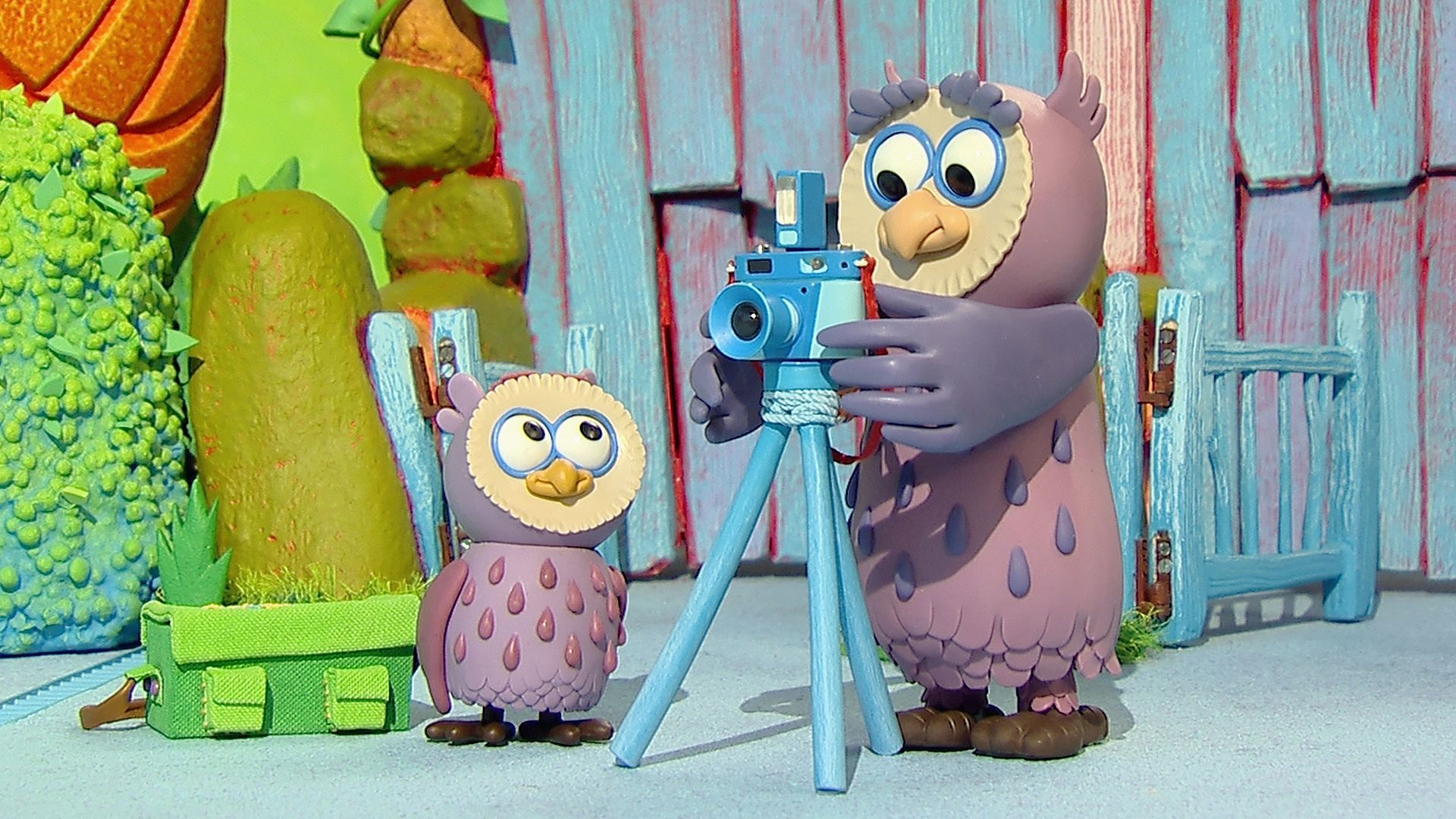 16. Snapshot Timmy