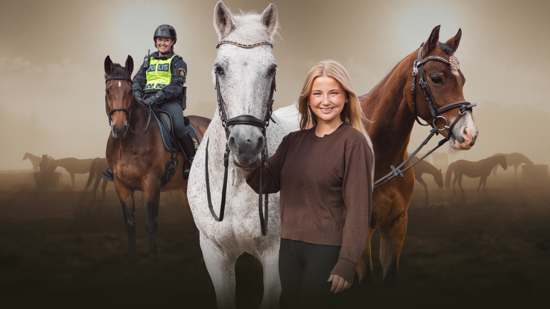 Hästdagboken (nordsamiska)