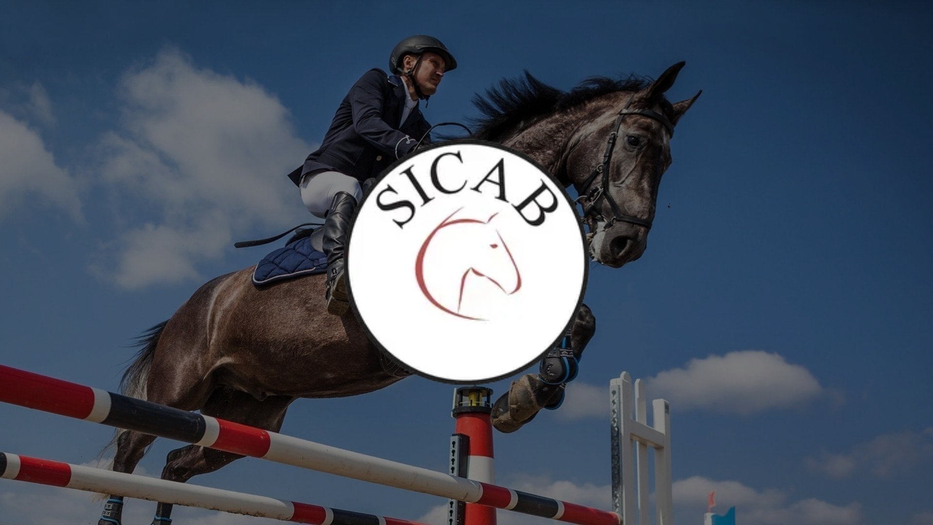 SICAB Sevilla: Final Copa Ancce Dressage Freestyle