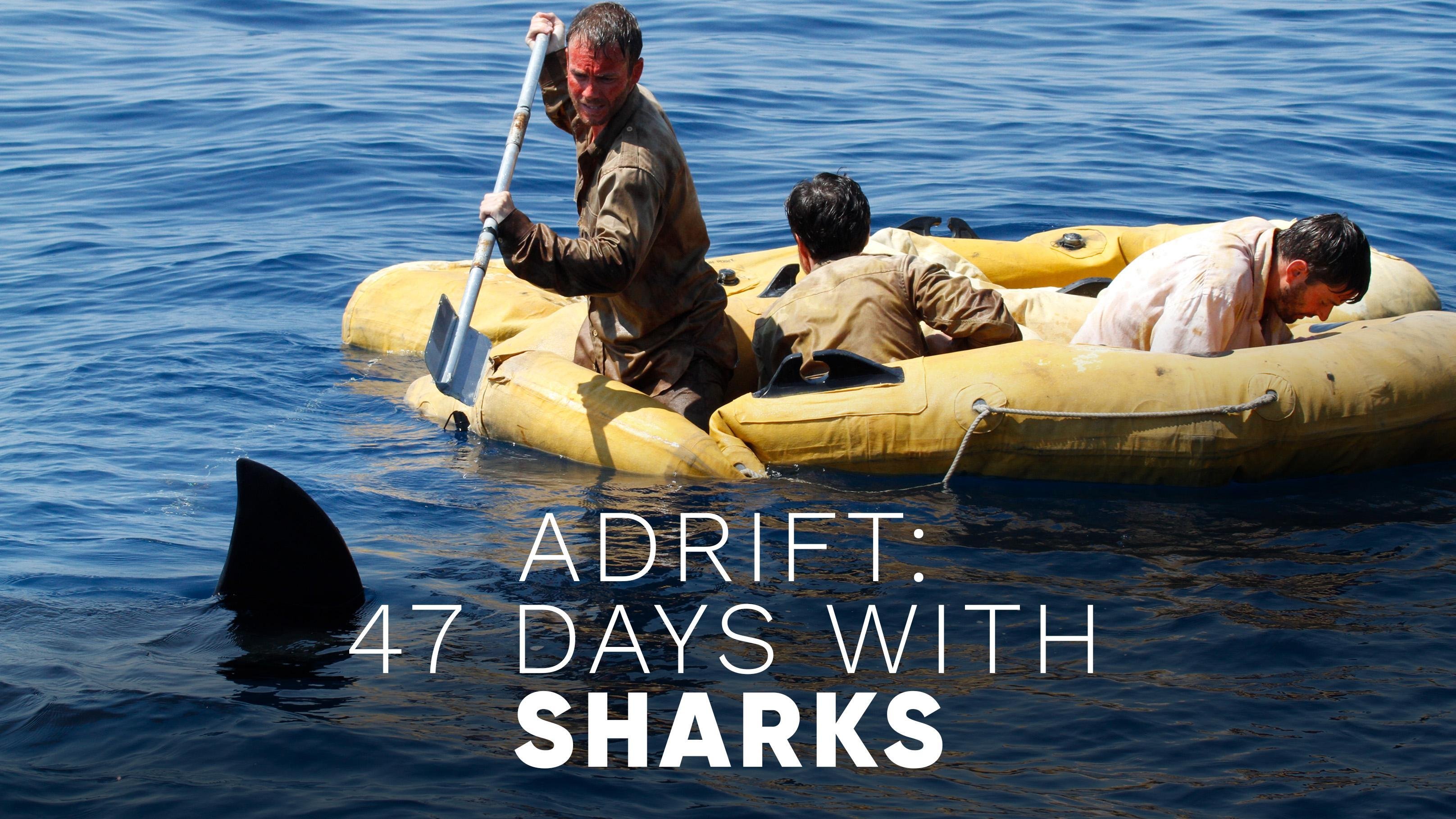 Adrift: 47 Days With Sharks
