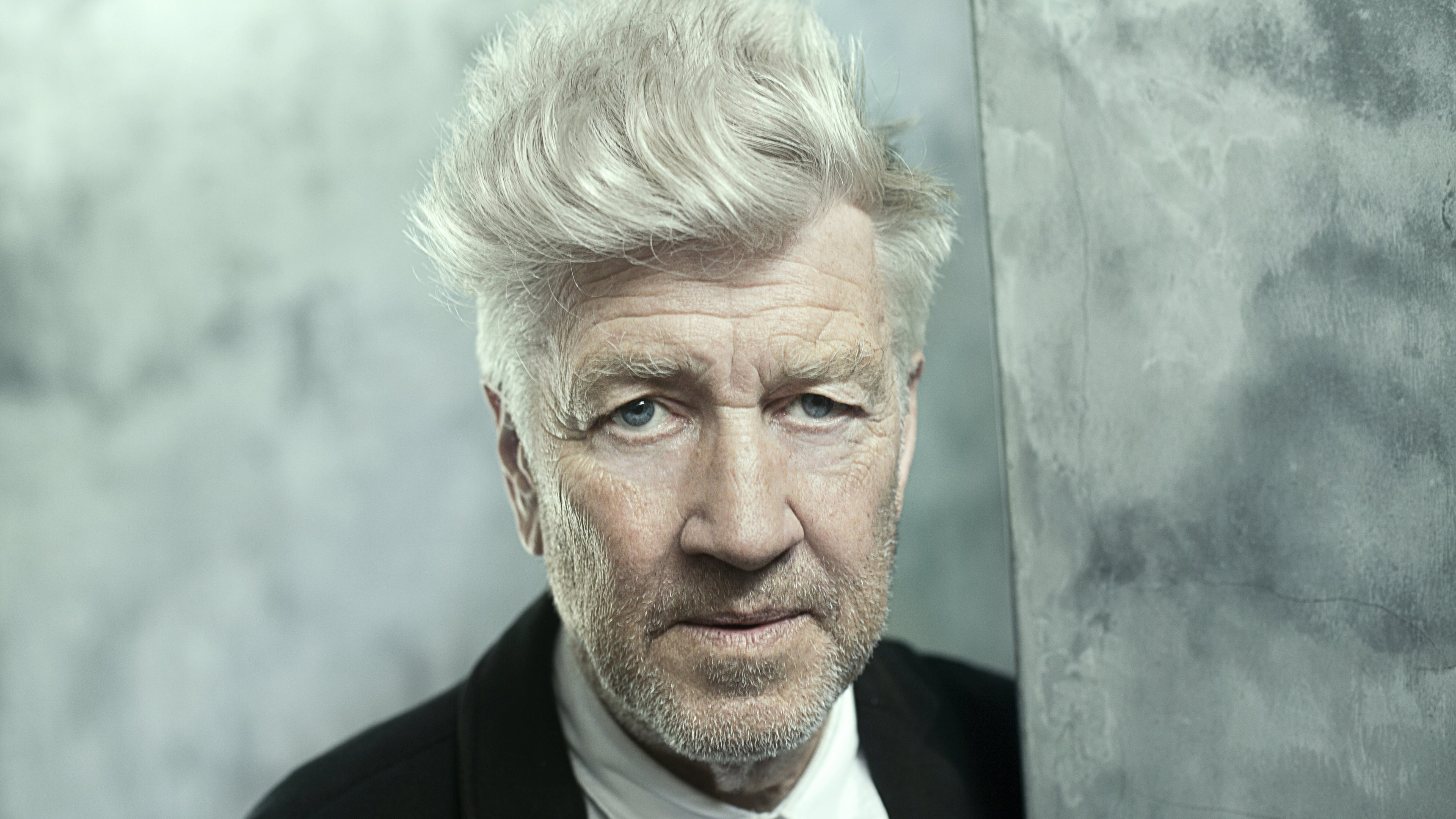 David Lynch - The Art Life