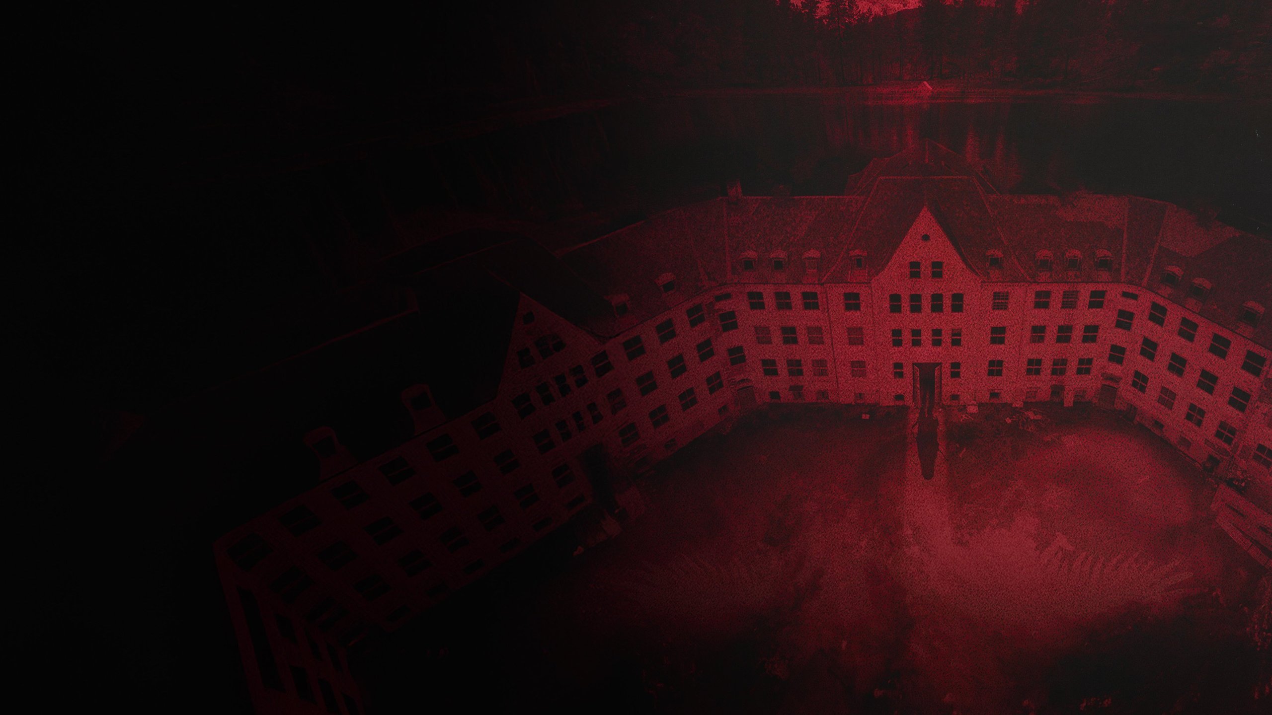 Villmark Asylum