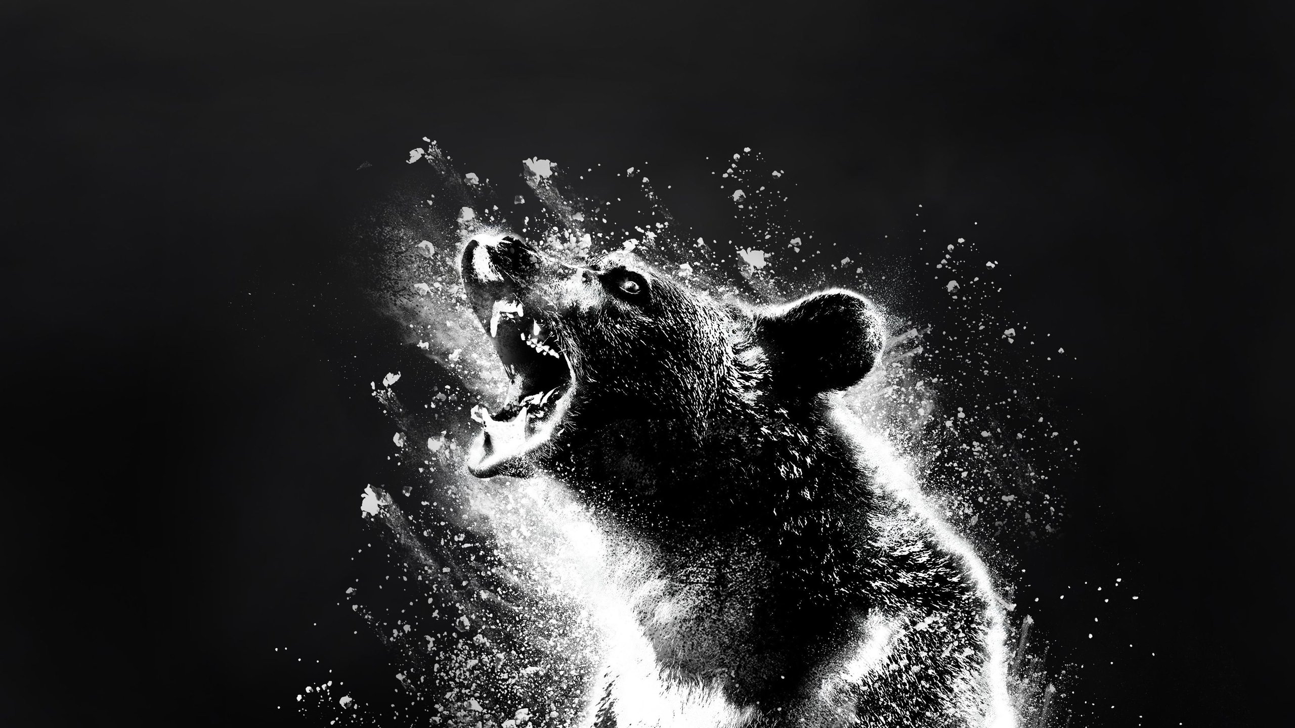 Cocaine Bear