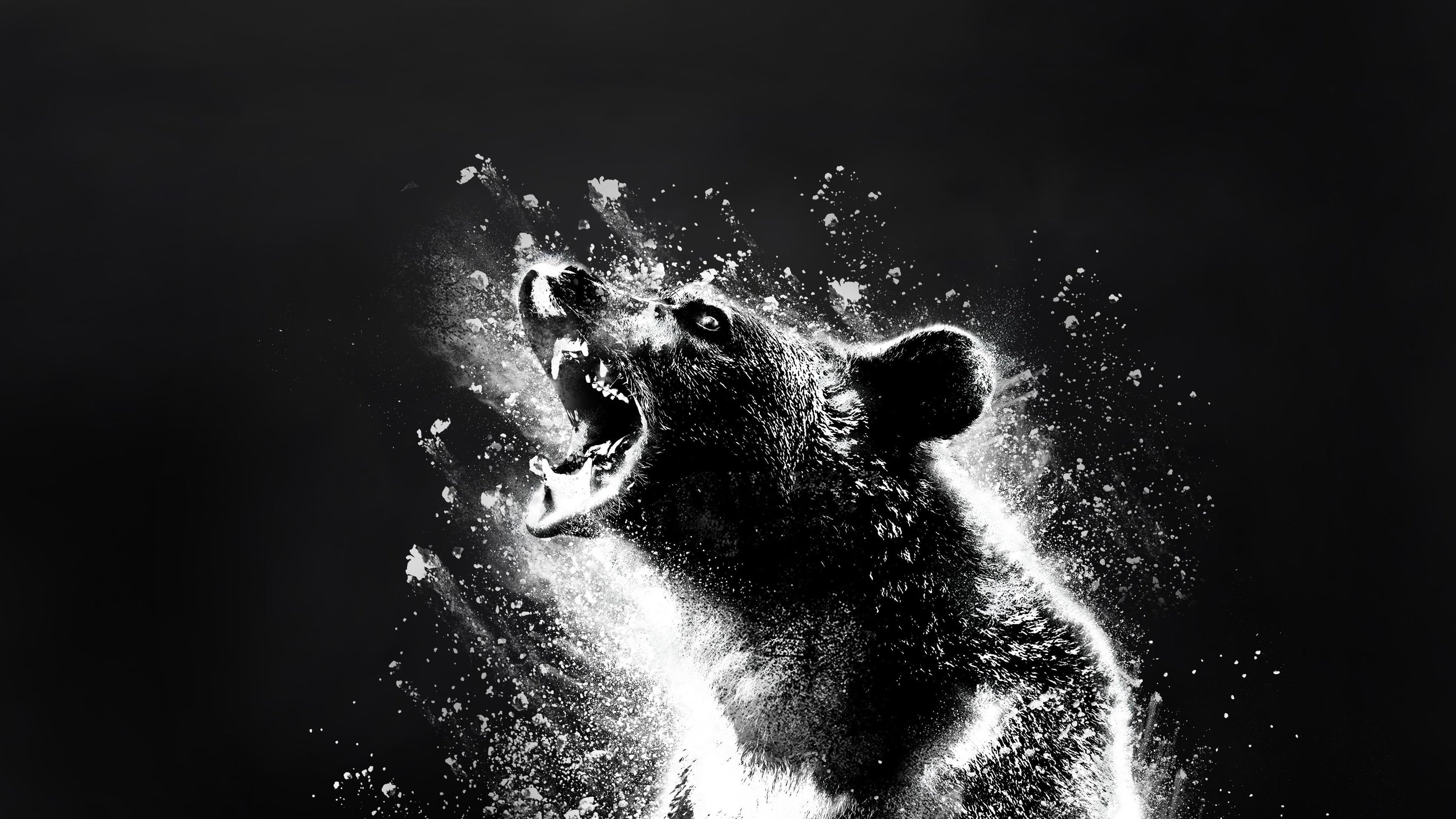 Cocaine Bear
